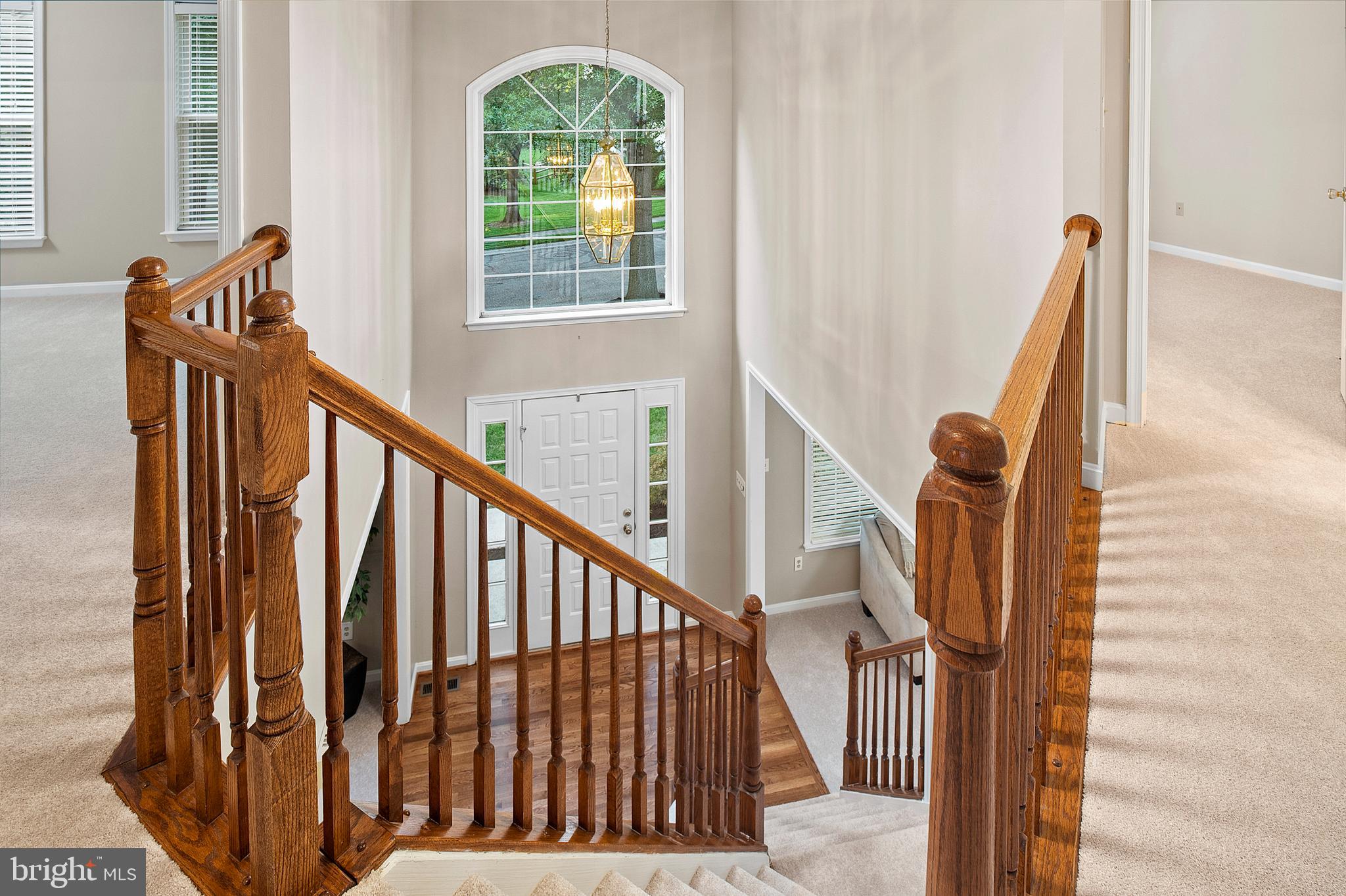 OAK TREE - Residential