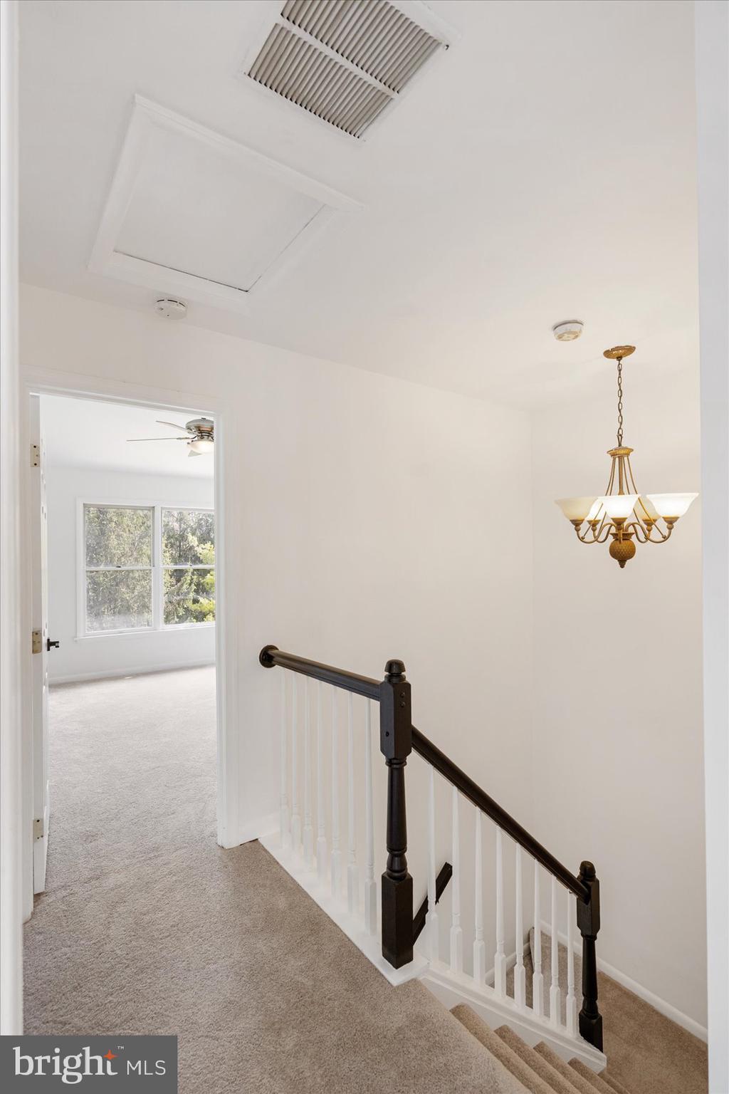 CONSTANT FRIENDSHIP - Residential