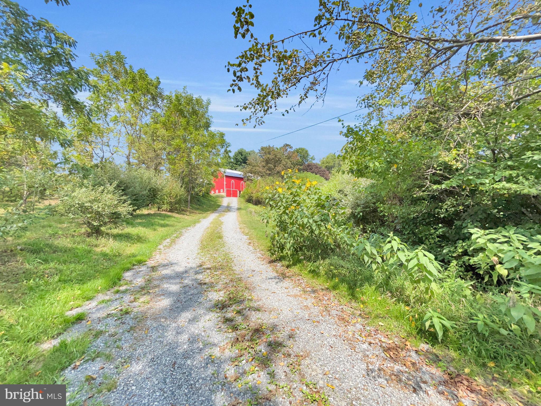 1095 TEXTER MOUNTAIN ROAD
