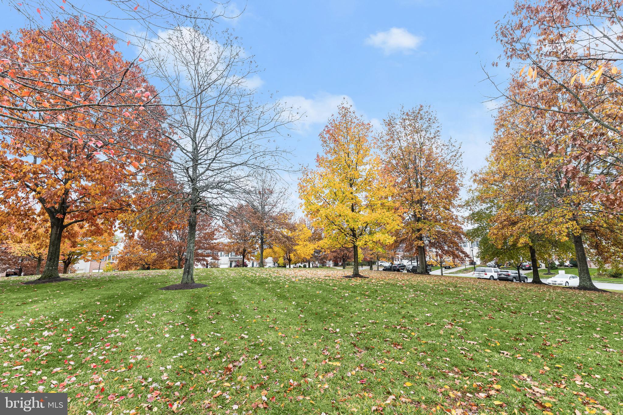 COLLEGE HILLS - Residential