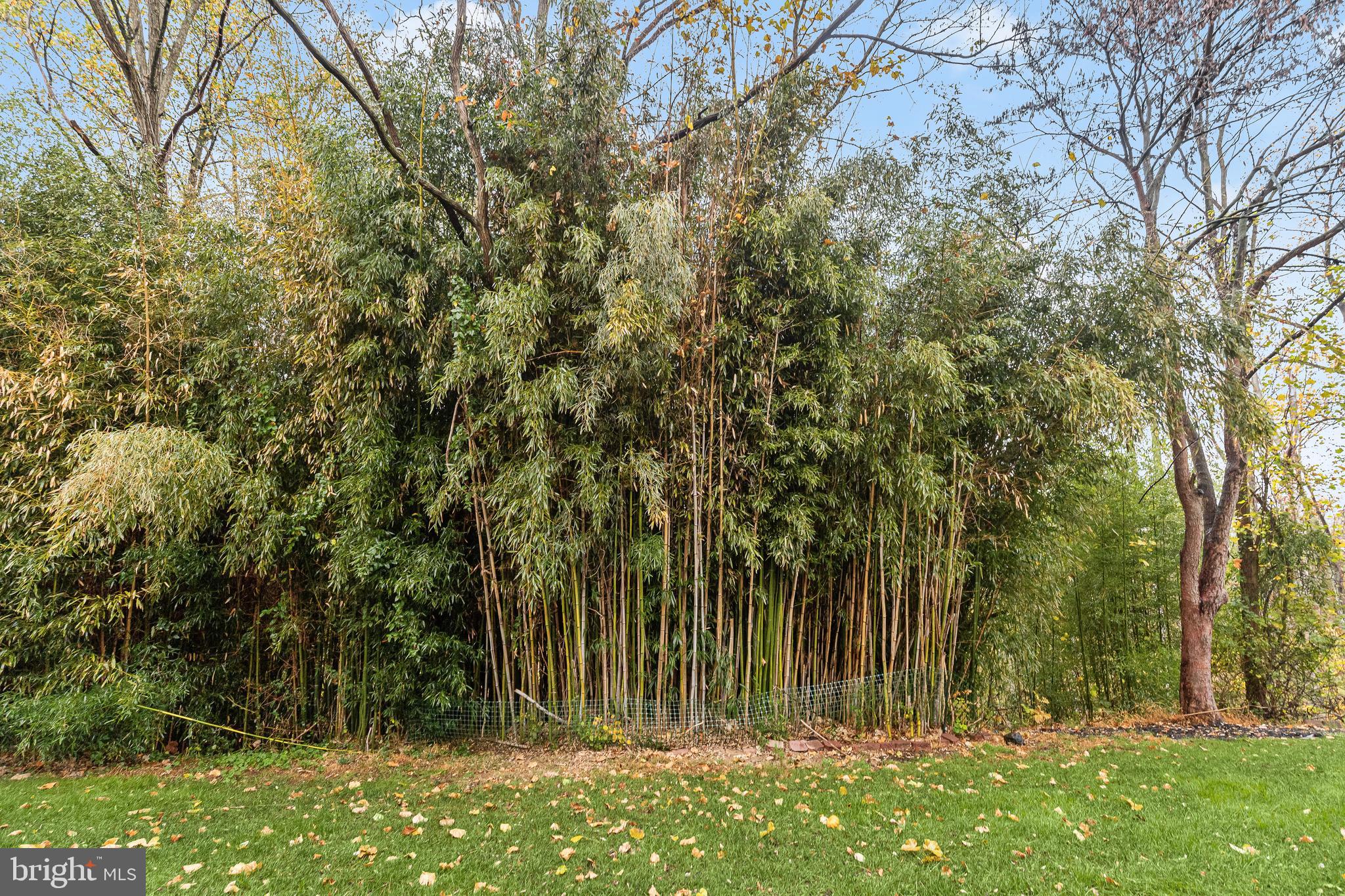 COLLEGE HILLS - Residential