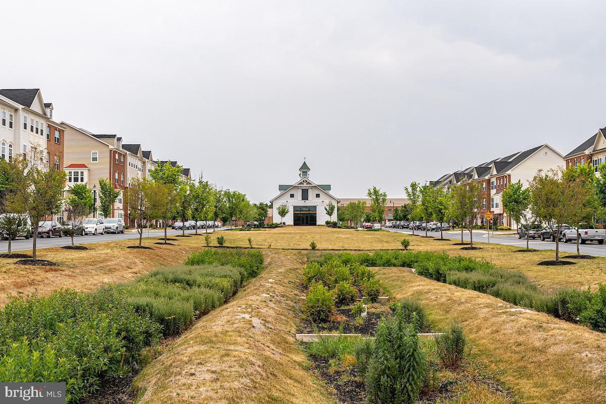 OXFORD SQUARE - Residential