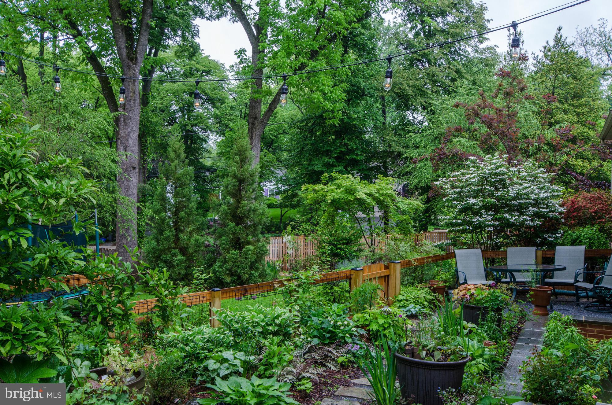 CHEVY CHASE - Residential