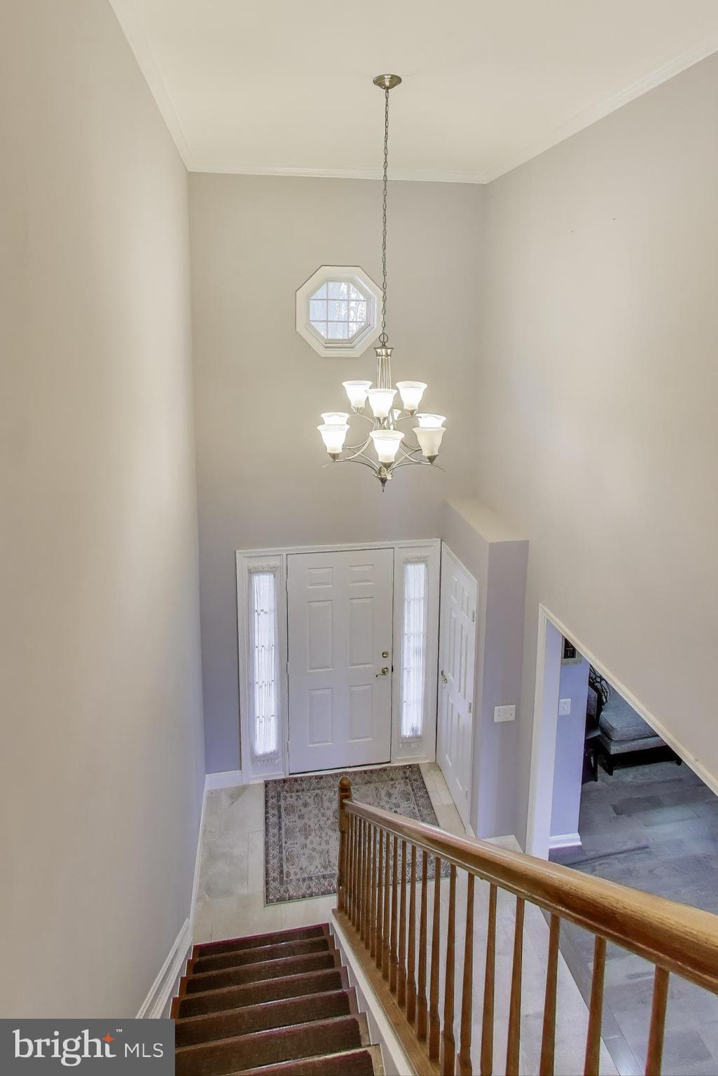 5337 BOX TURTLE COURT