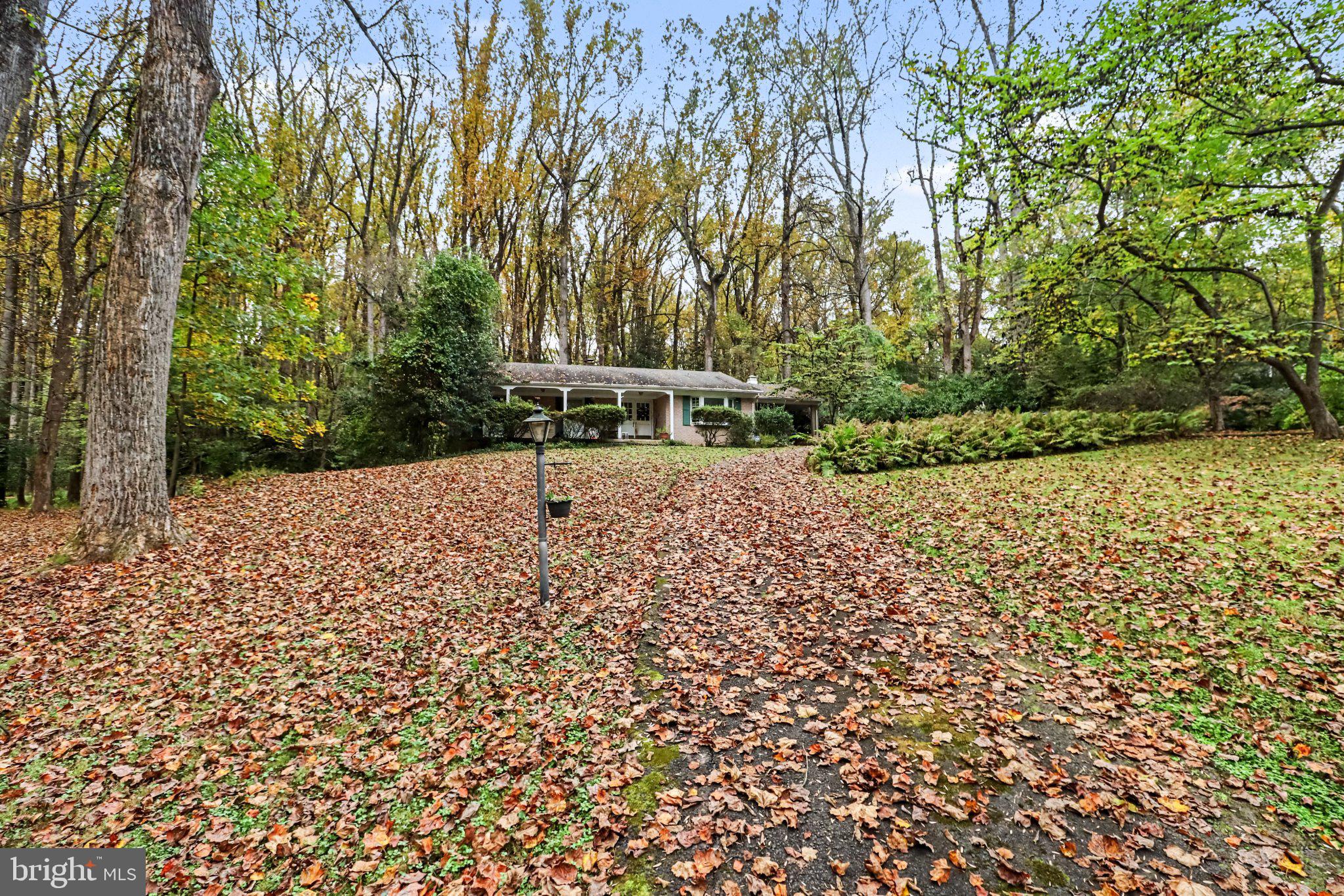 9116 WEANT DRIVE