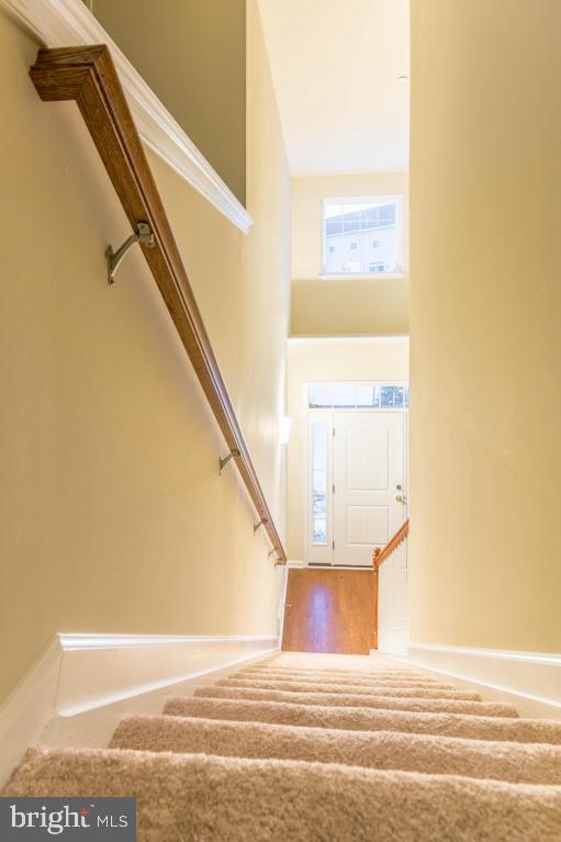 WOODS EDGE - Residential