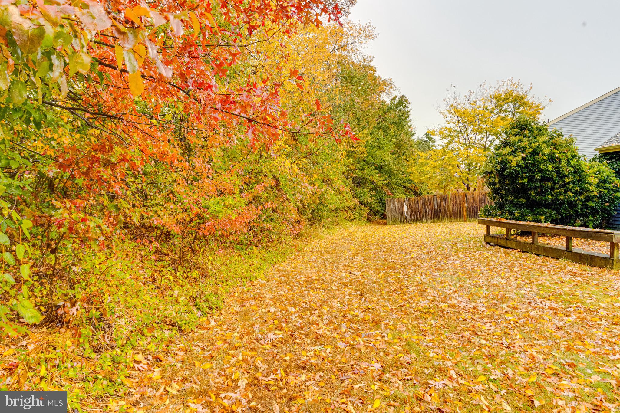 BARTLEY WOODS - Residential