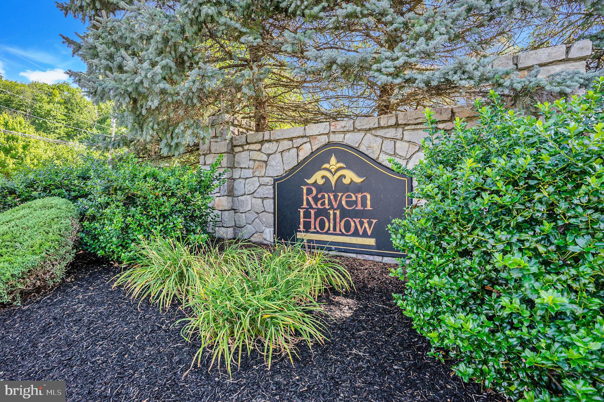 RAVEN HOLLOW - Residential