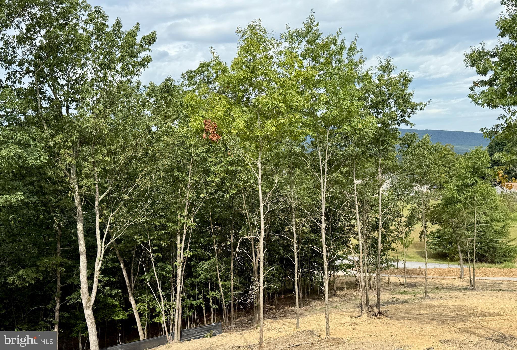 MOUNTAIN VIEW - Residential