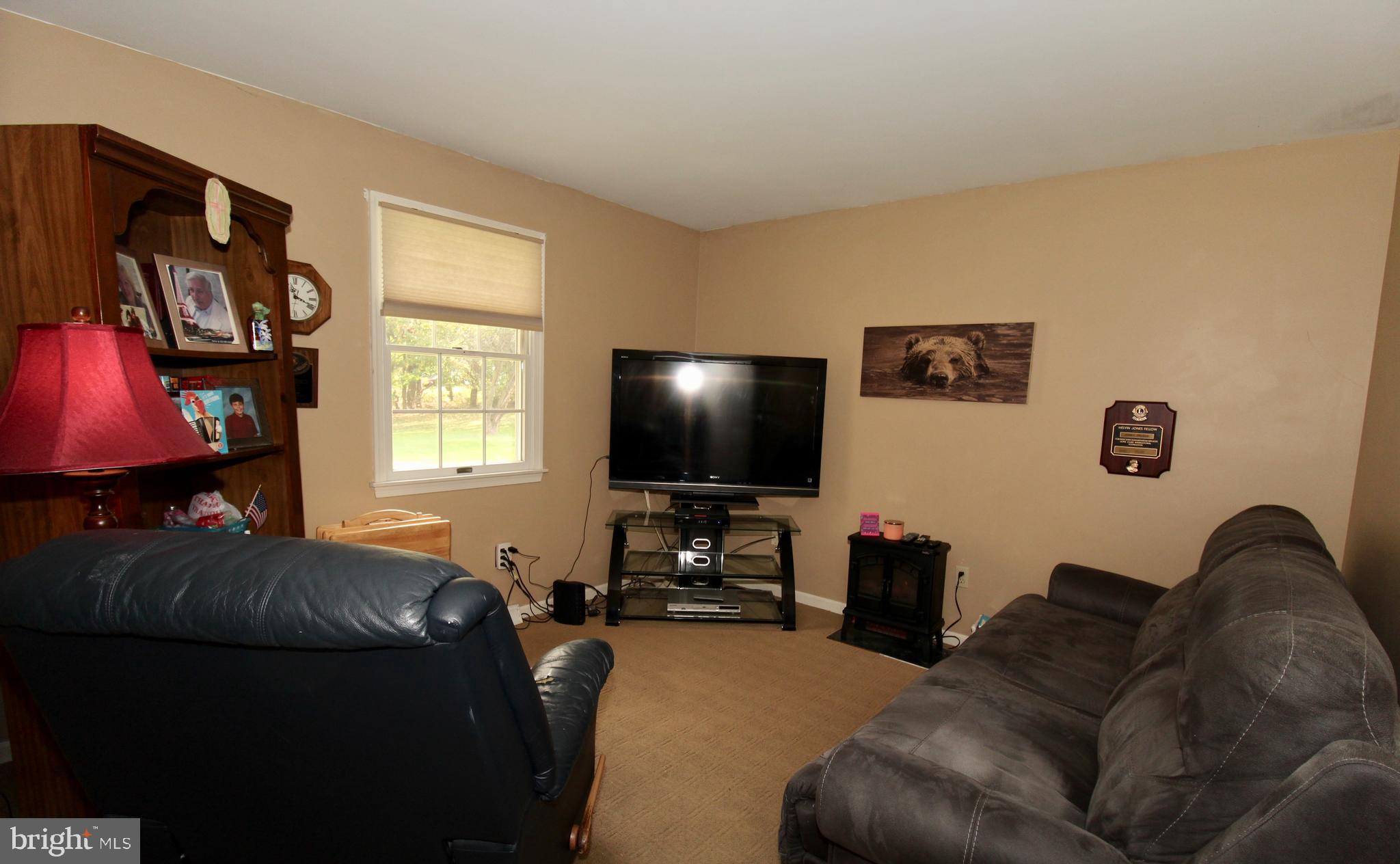 BLUE RIDGE ESTATES - Residential