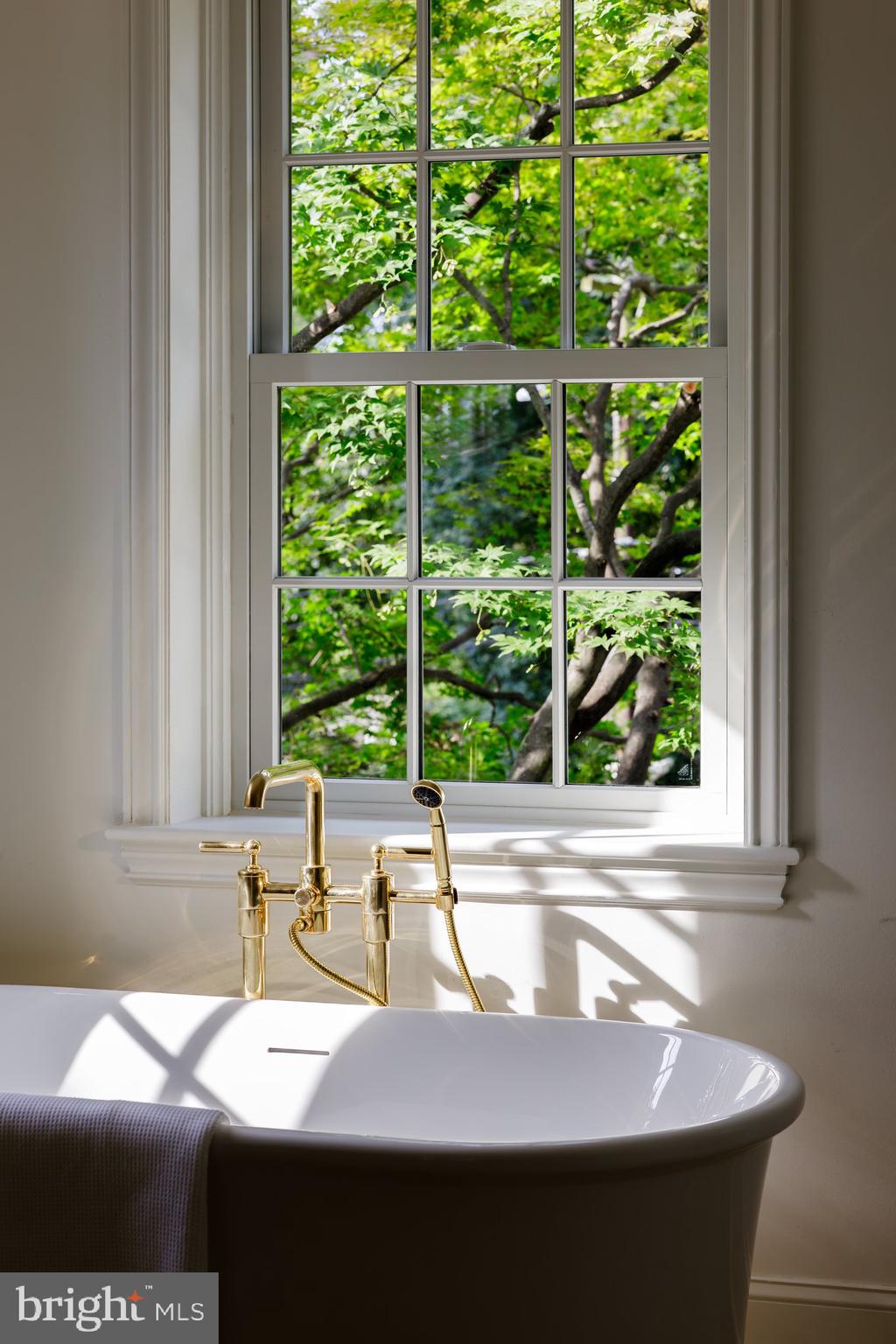 MASSACHUSETTS AVENUE HEIGHTS - Residential