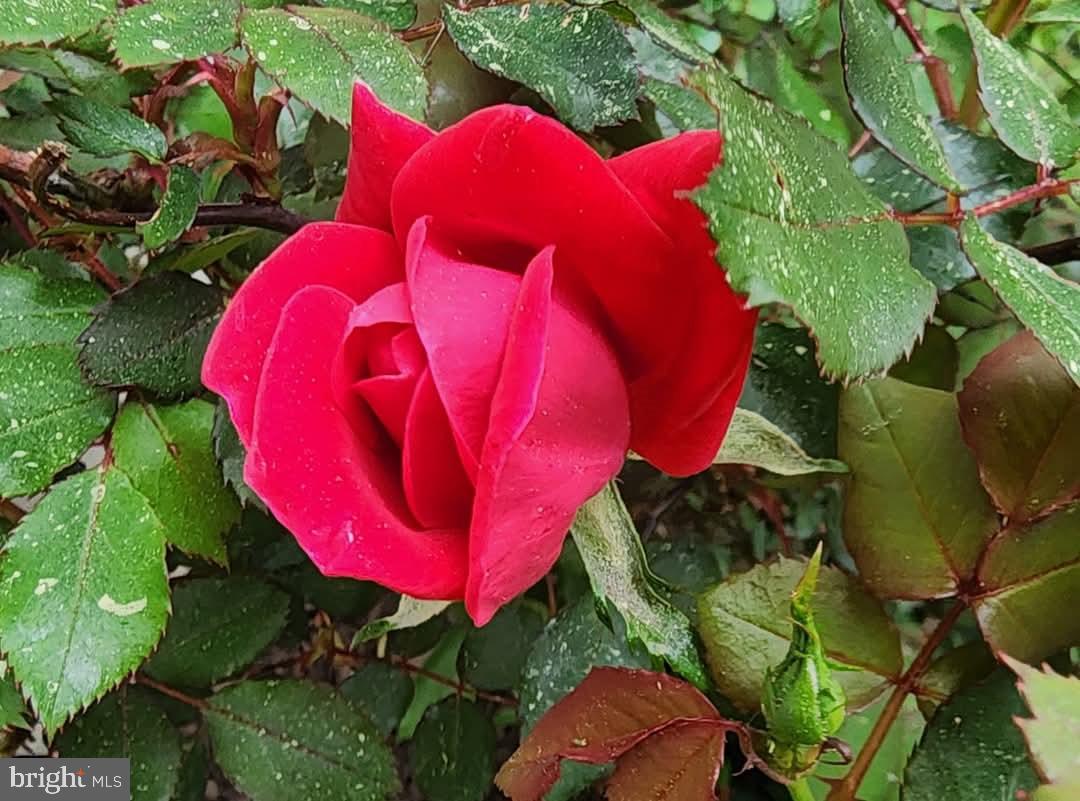 LA TRAPPE HEIGHTS - Residential