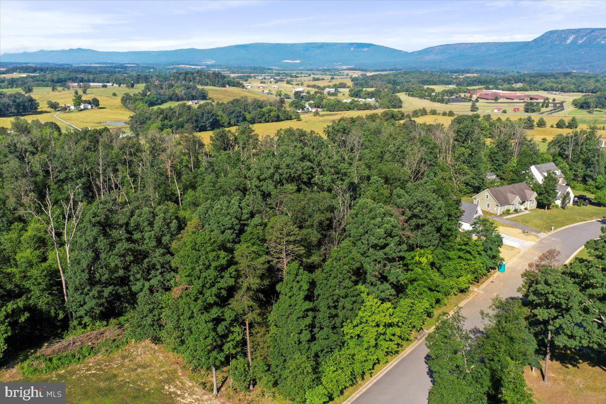 THE RIDGE AT FOREST HILLS - Land