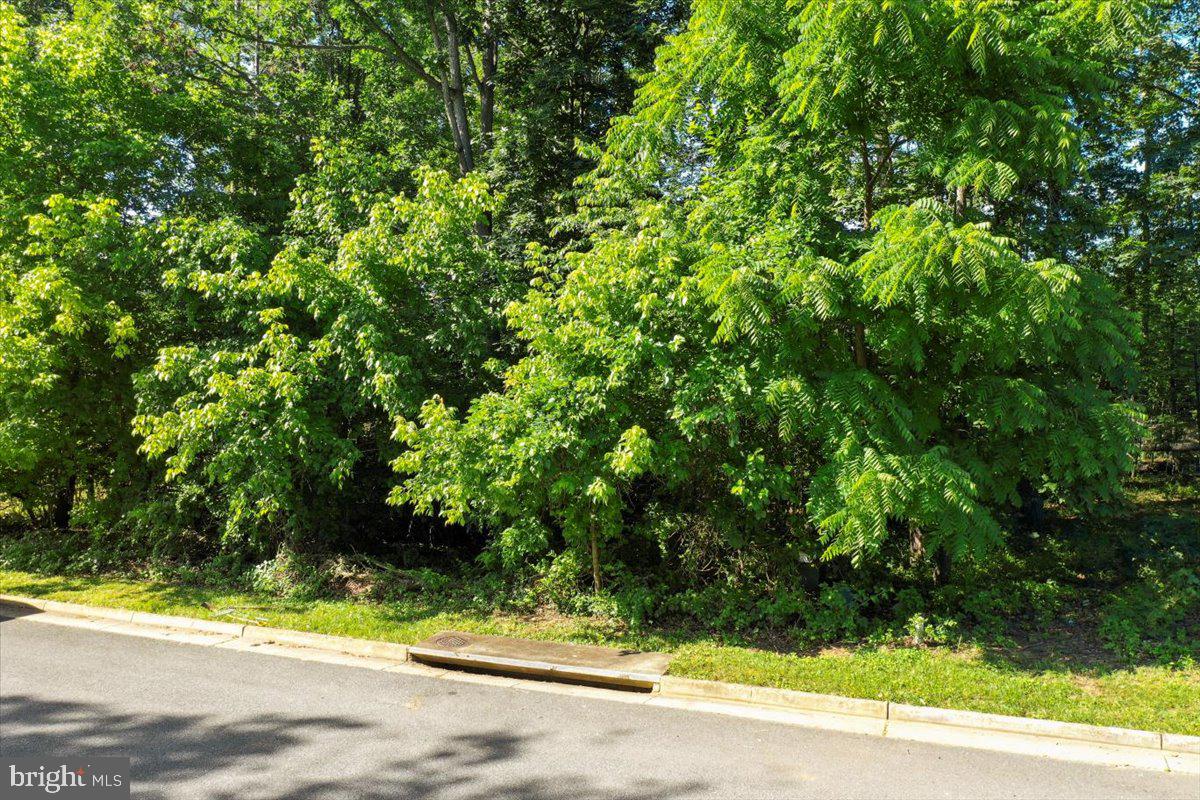 THE RIDGE AT FOREST HILLS - Land