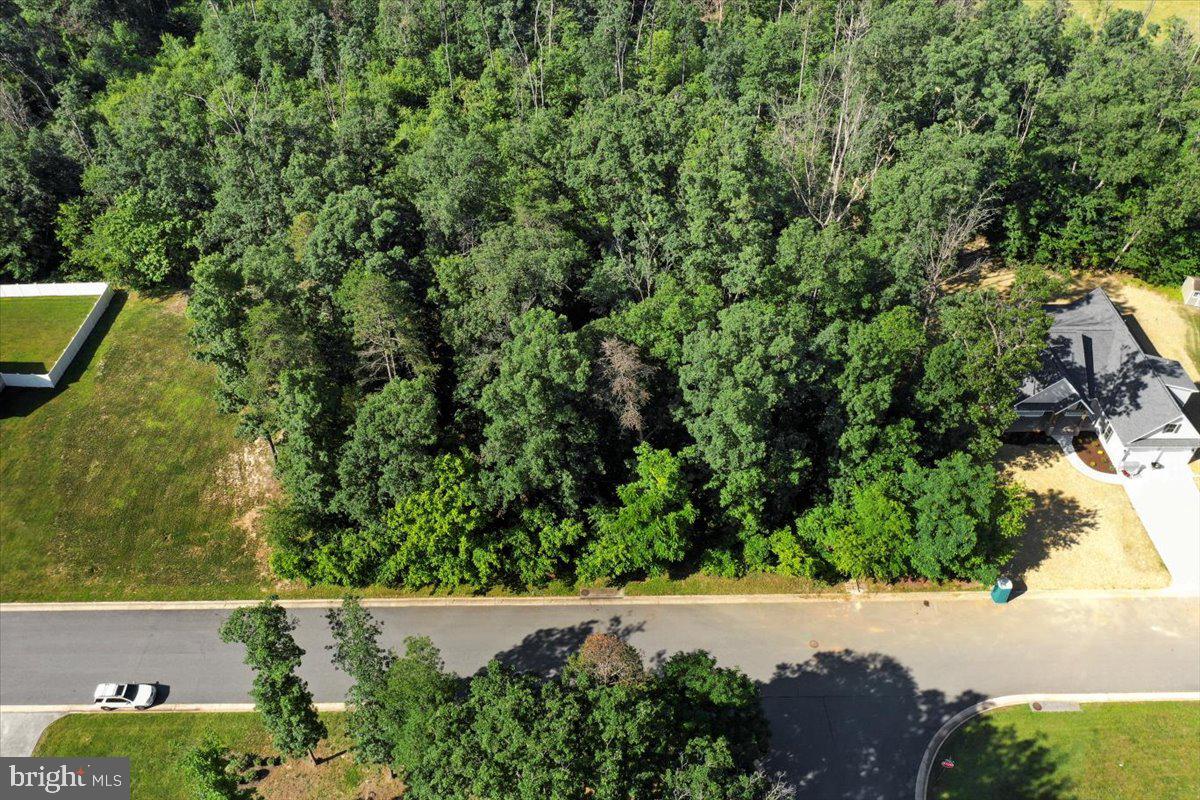 THE RIDGE AT FOREST HILLS - Land