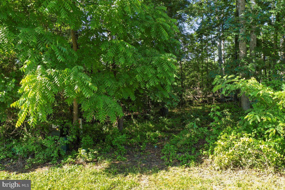 THE RIDGE AT FOREST HILLS - Land