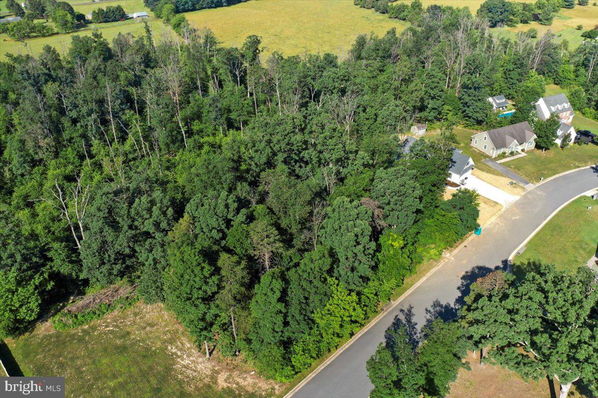 THE RIDGE AT FOREST HILLS - Land