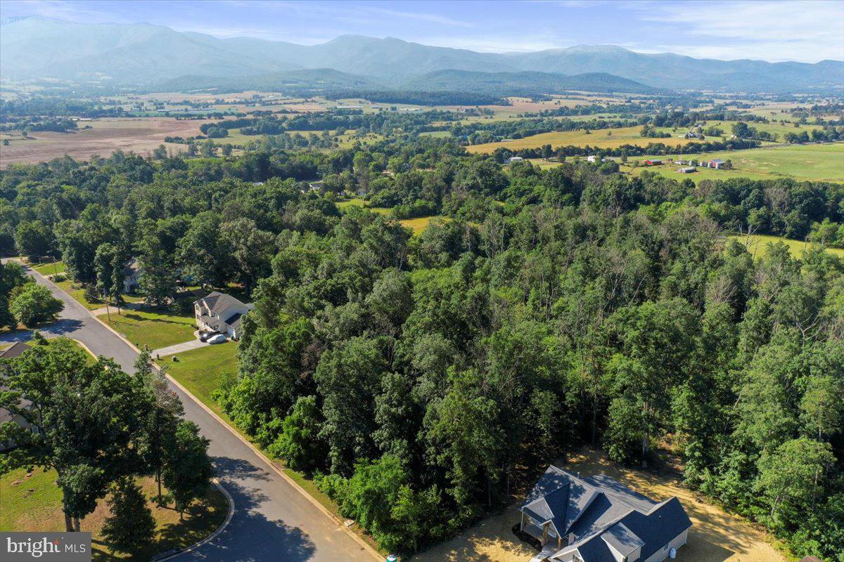 THE RIDGE AT FOREST HILLS - Land