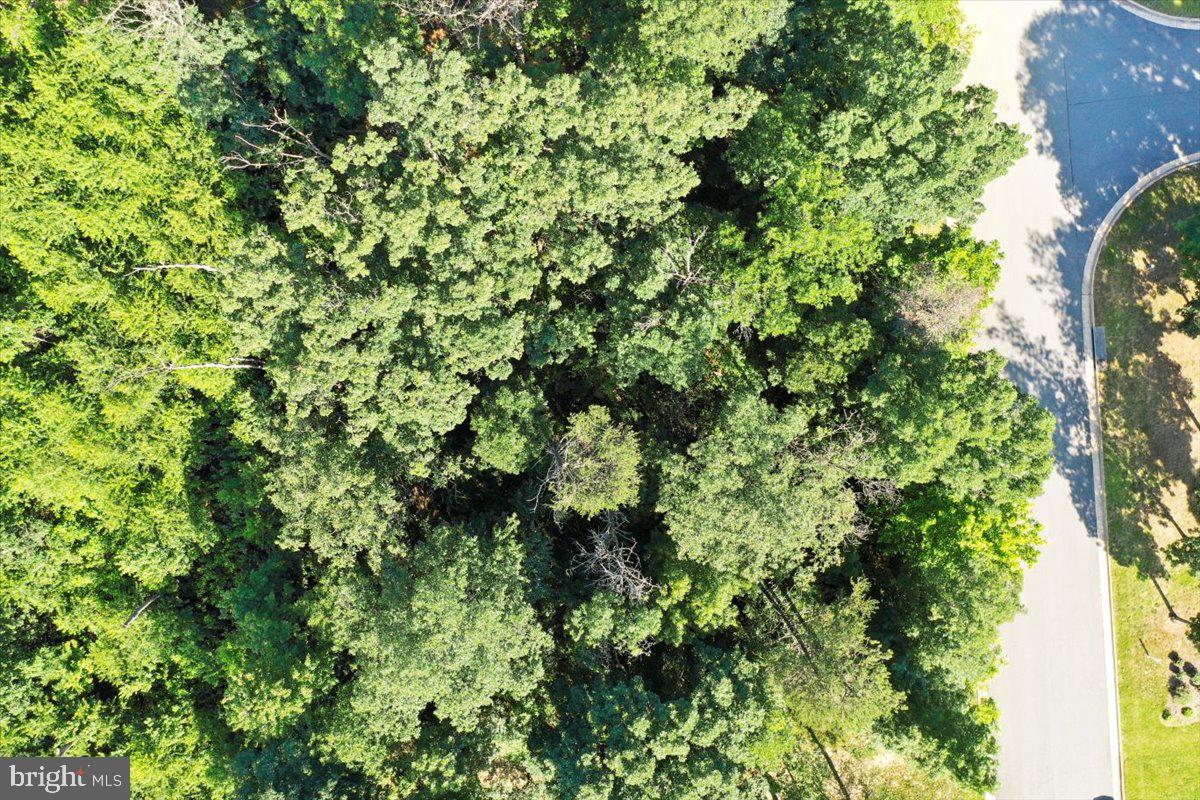 THE RIDGE AT FOREST HILLS - Land