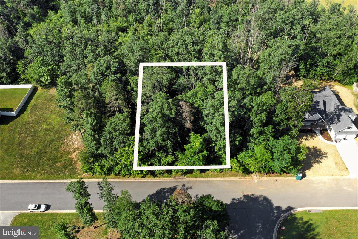 THE RIDGE AT FOREST HILLS - Land