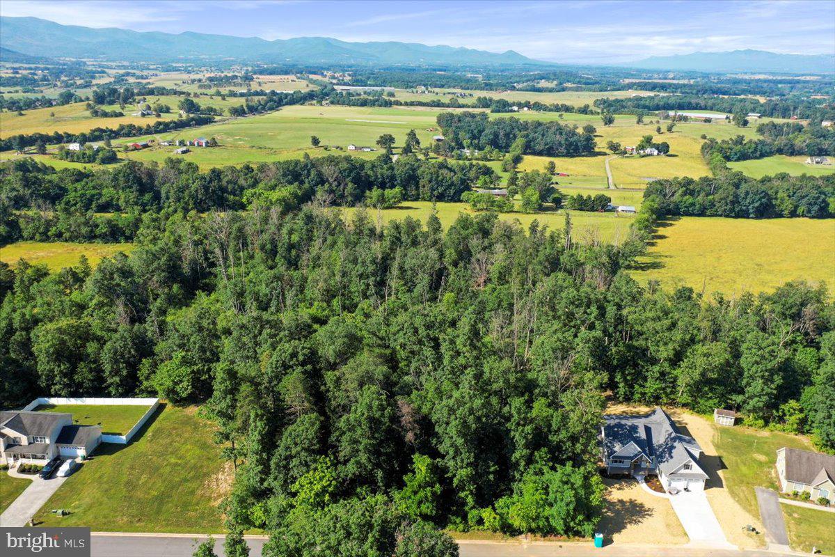 THE RIDGE AT FOREST HILLS - Land