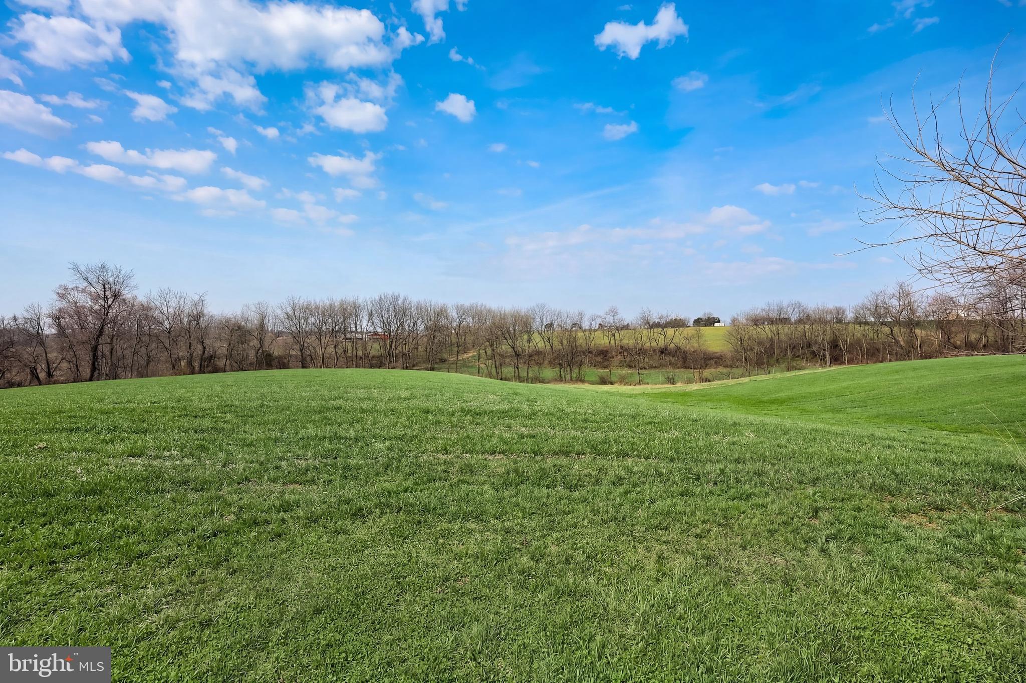 PARADISE MHP - Residential