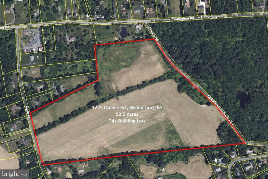 Discover an outstanding opportunity with this 53-acre property, designed for subdivision into 34 prime lots. With its level terrain, this land offers an easy building process, ideal for your development needs. Enjoy breathtaking panoramic views of the majestic Blue Mountain, providing a serene backdrop for a peaceful living environment. Strategically located, this property combines natural beauty with convenient access, making it a top-notch investment. Whether you envision a vibrant community or a valuable asset, this property is your canvas. Located in the Northampton School District, it promises a great home for future residents. Don’t miss the chance to transform these 53 acres into a landmark destination. This parcel has gone through the complete land development process.