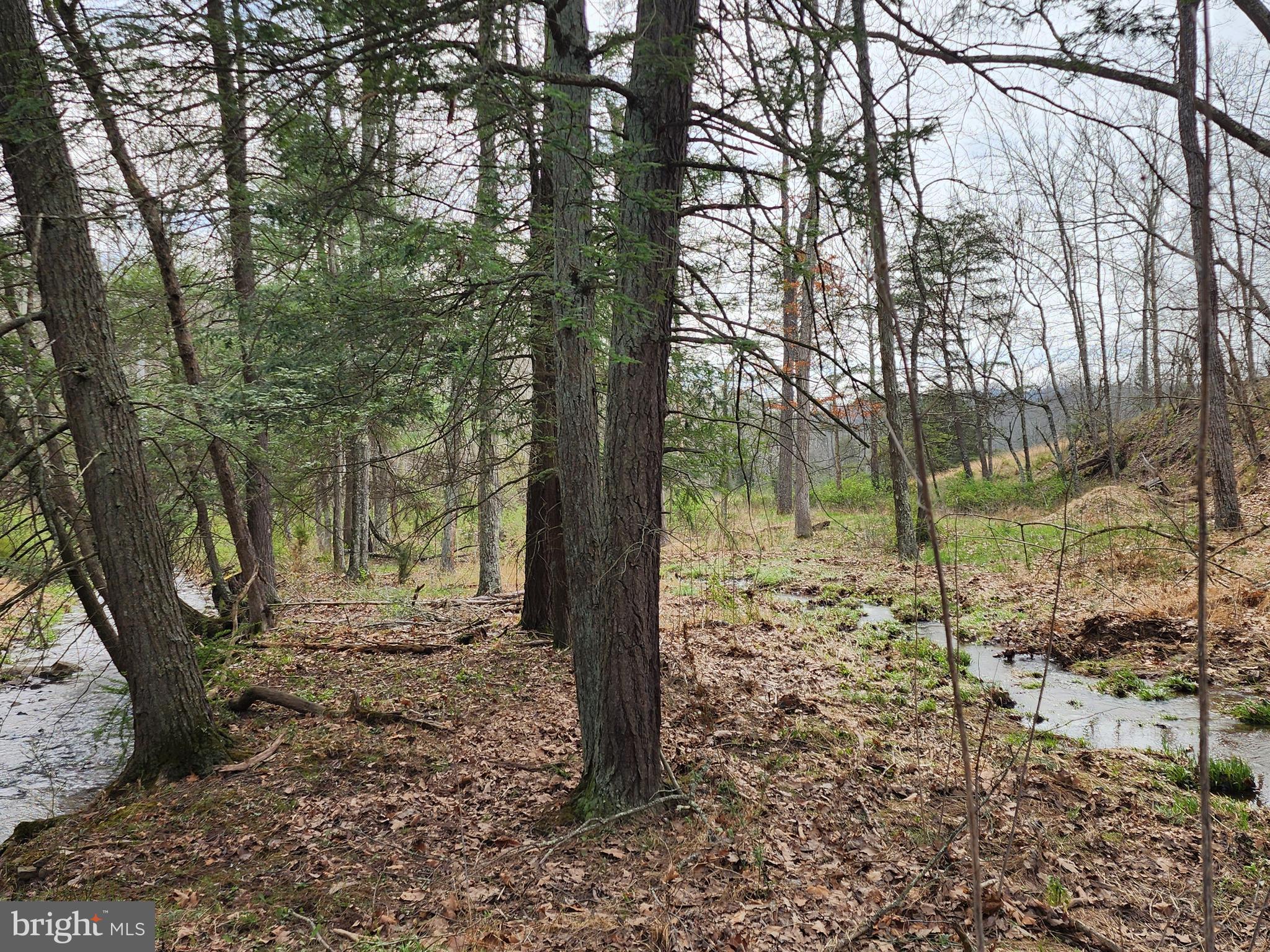 QUIVEY'S GROVE - Land