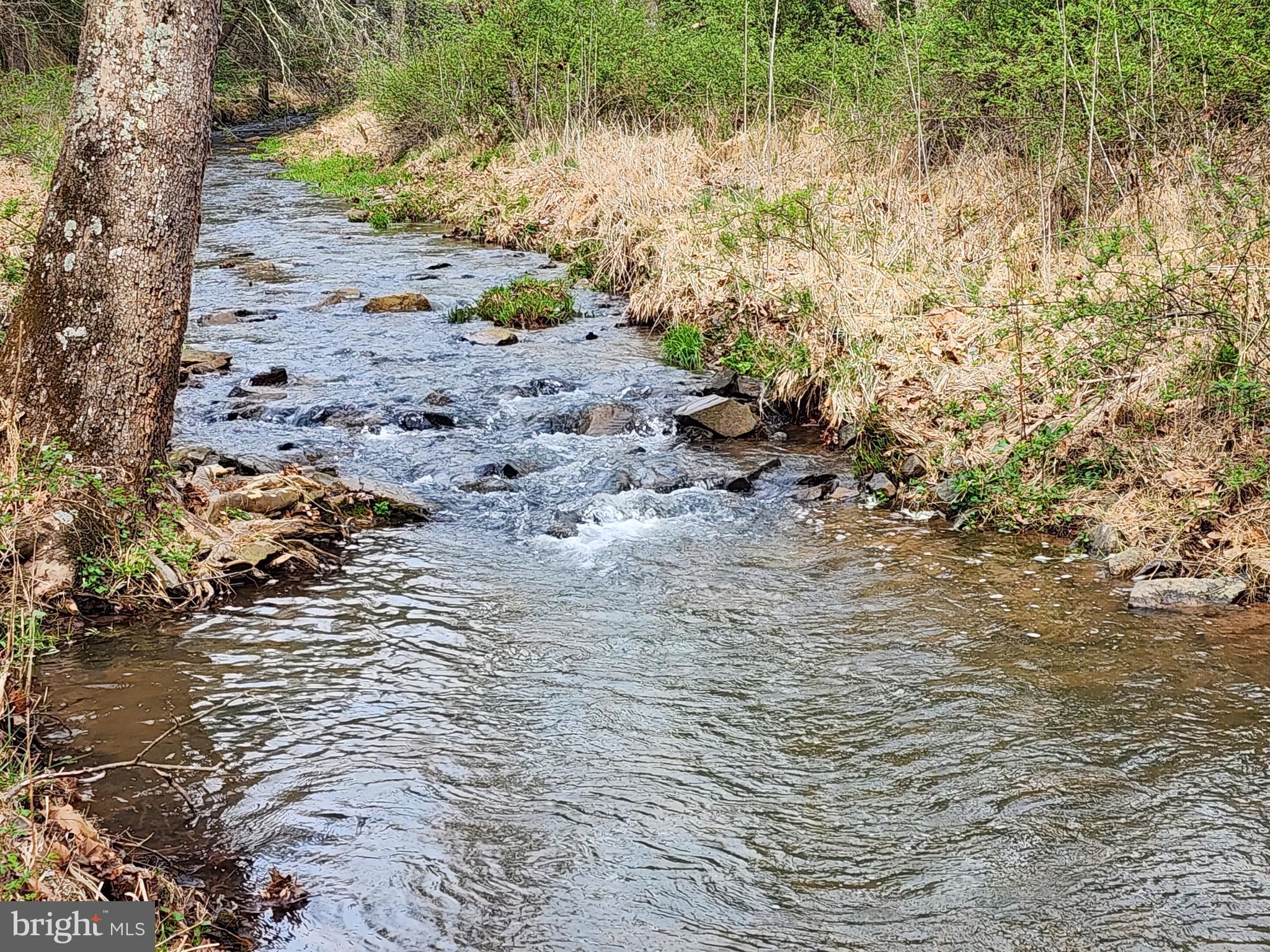 QUIVEY'S GROVE - Land