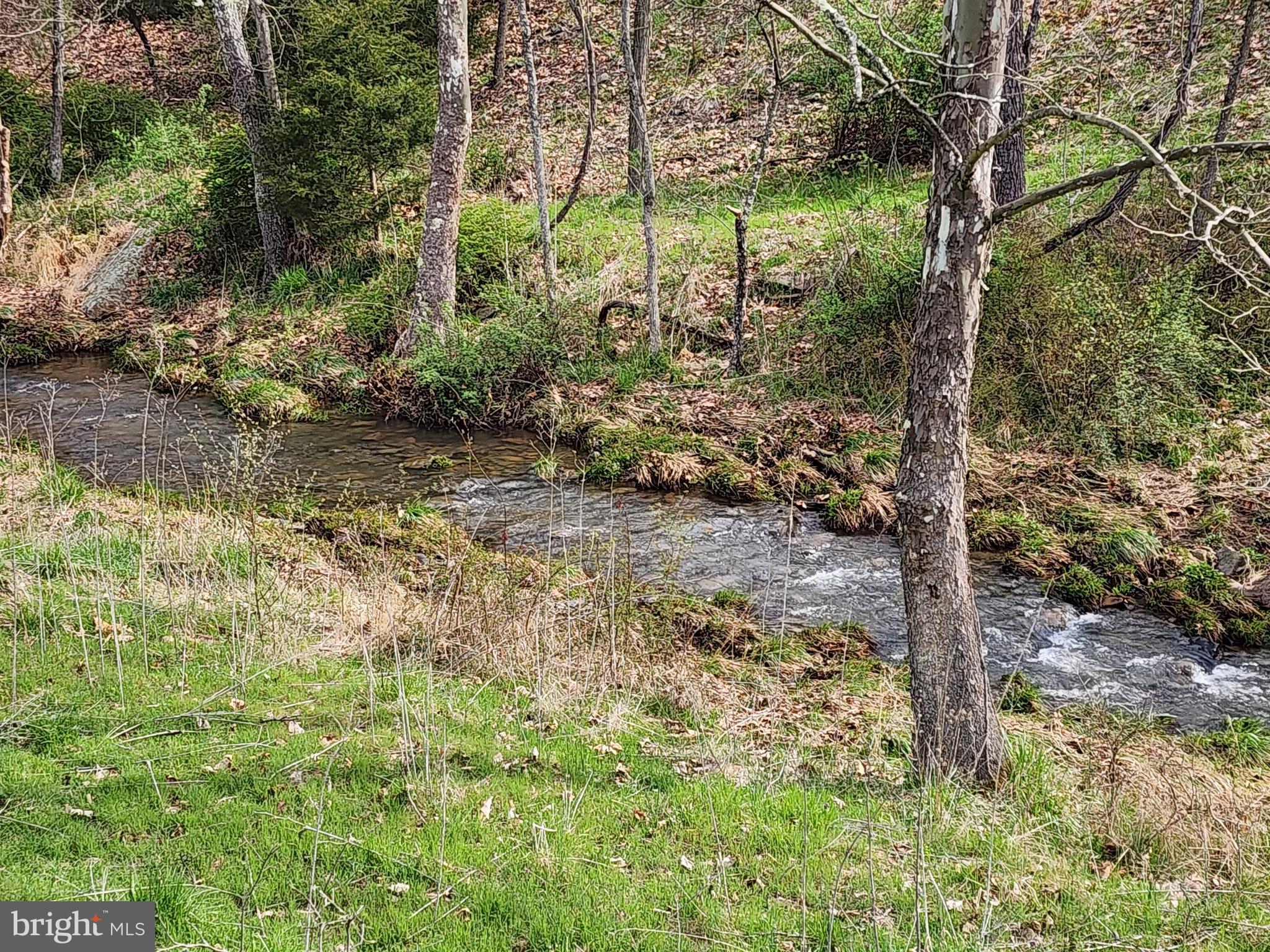 QUIVEY'S GROVE - Land