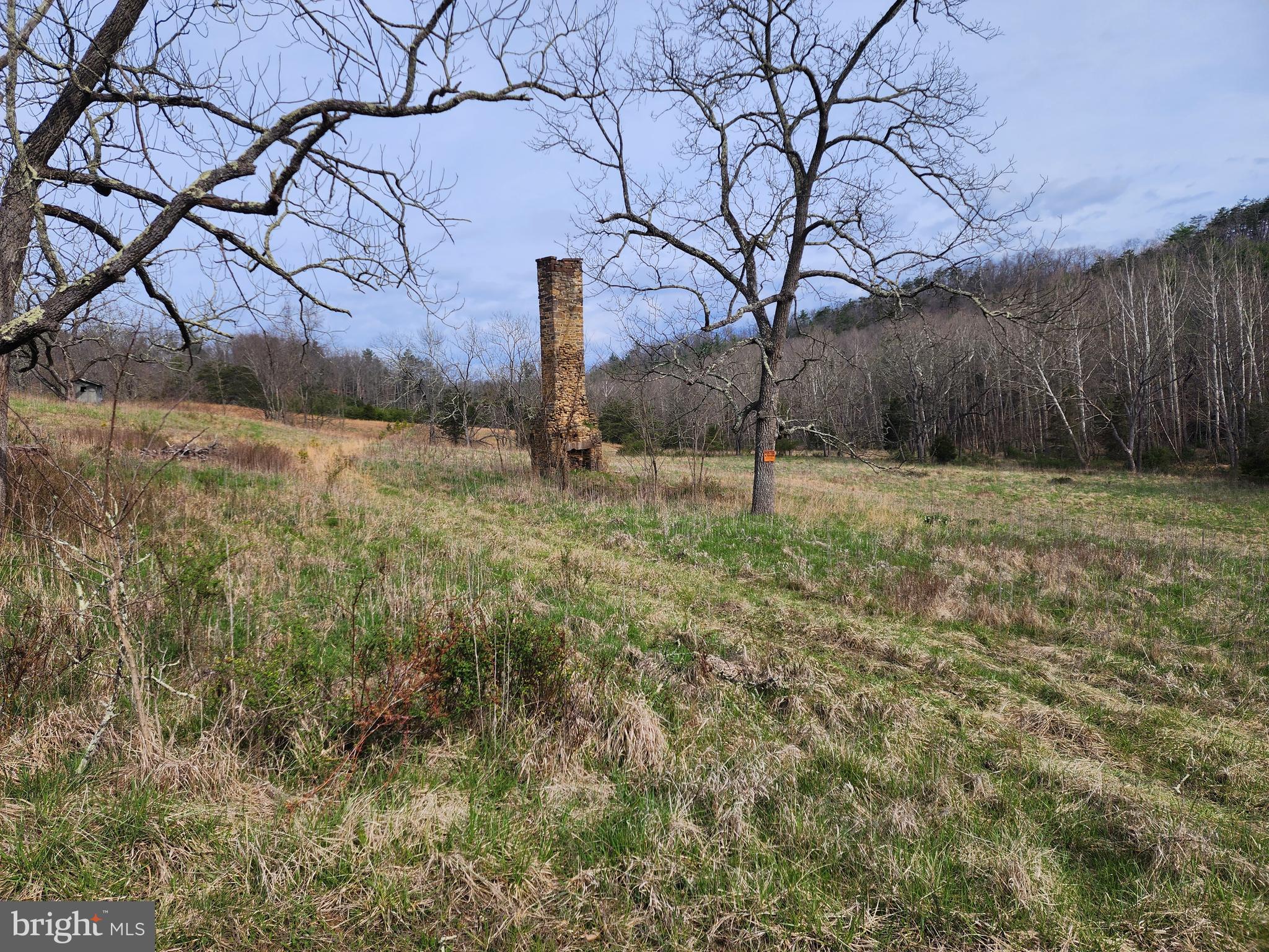 QUIVEY'S GROVE - Land