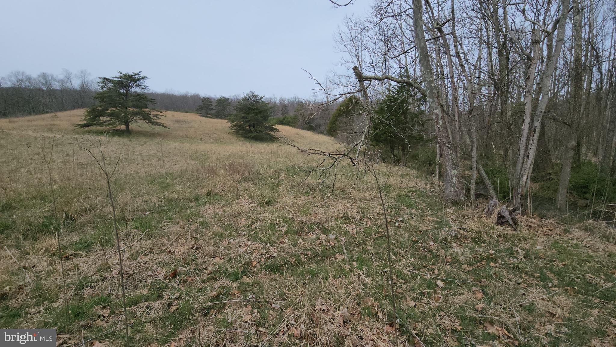 QUIVEY'S GROVE - Land