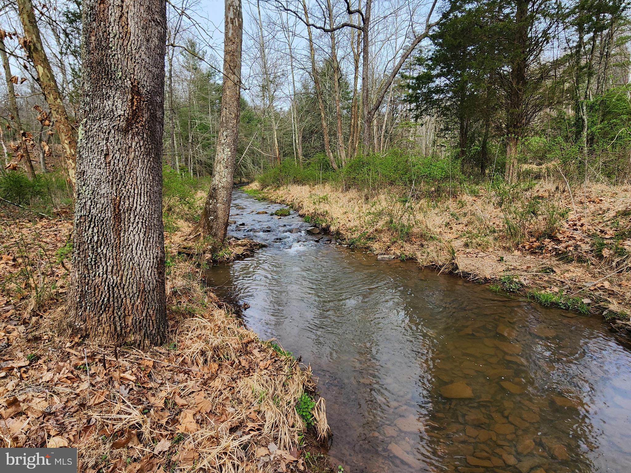 QUIVEY'S GROVE - Land
