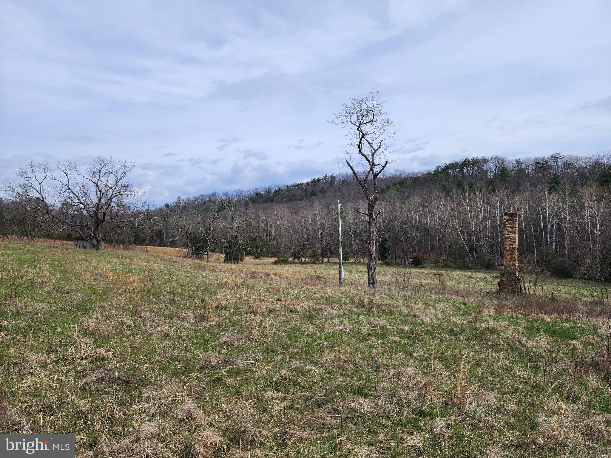 QUIVEY'S GROVE - Land