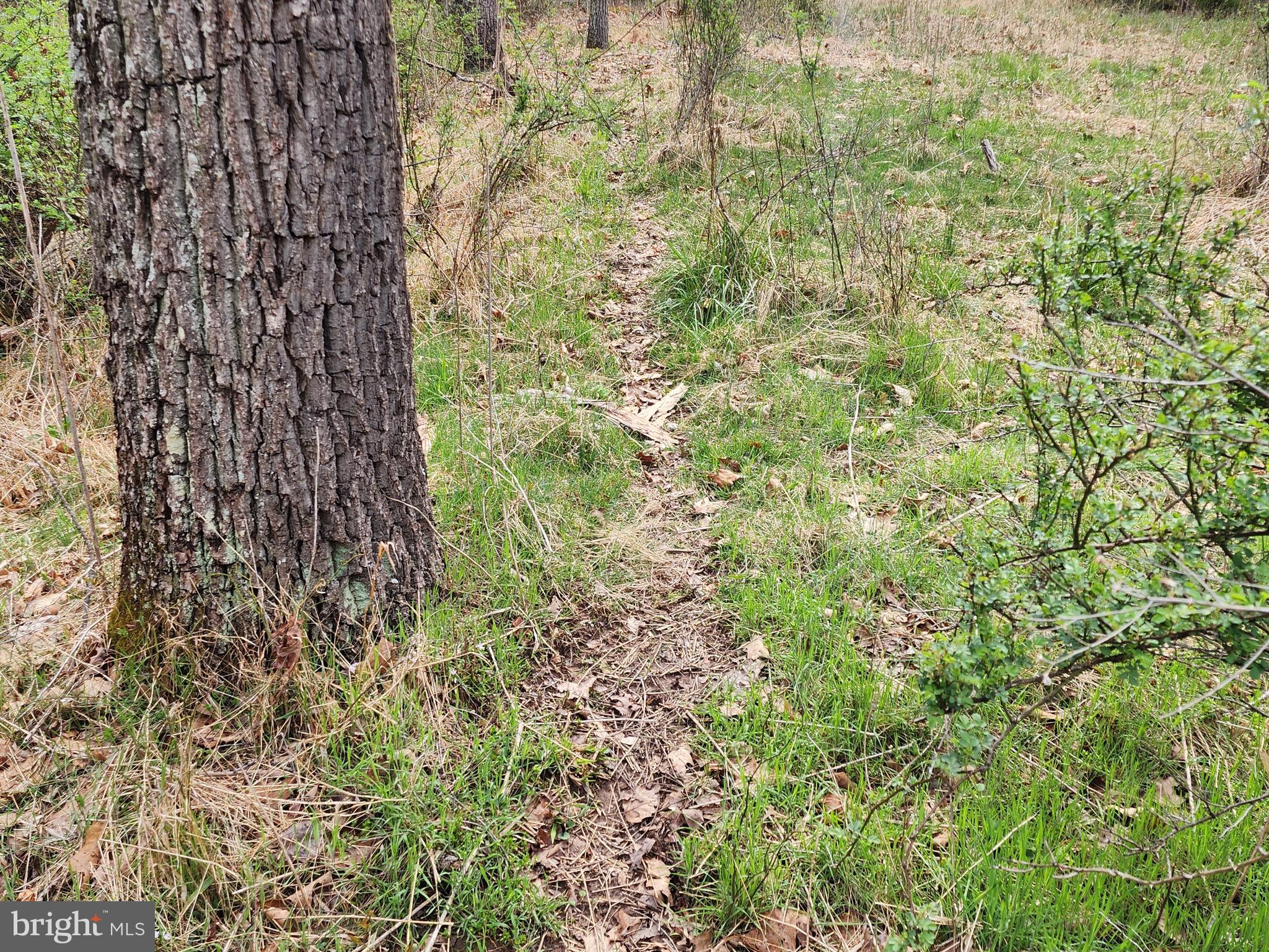 QUIVEY'S GROVE - Land