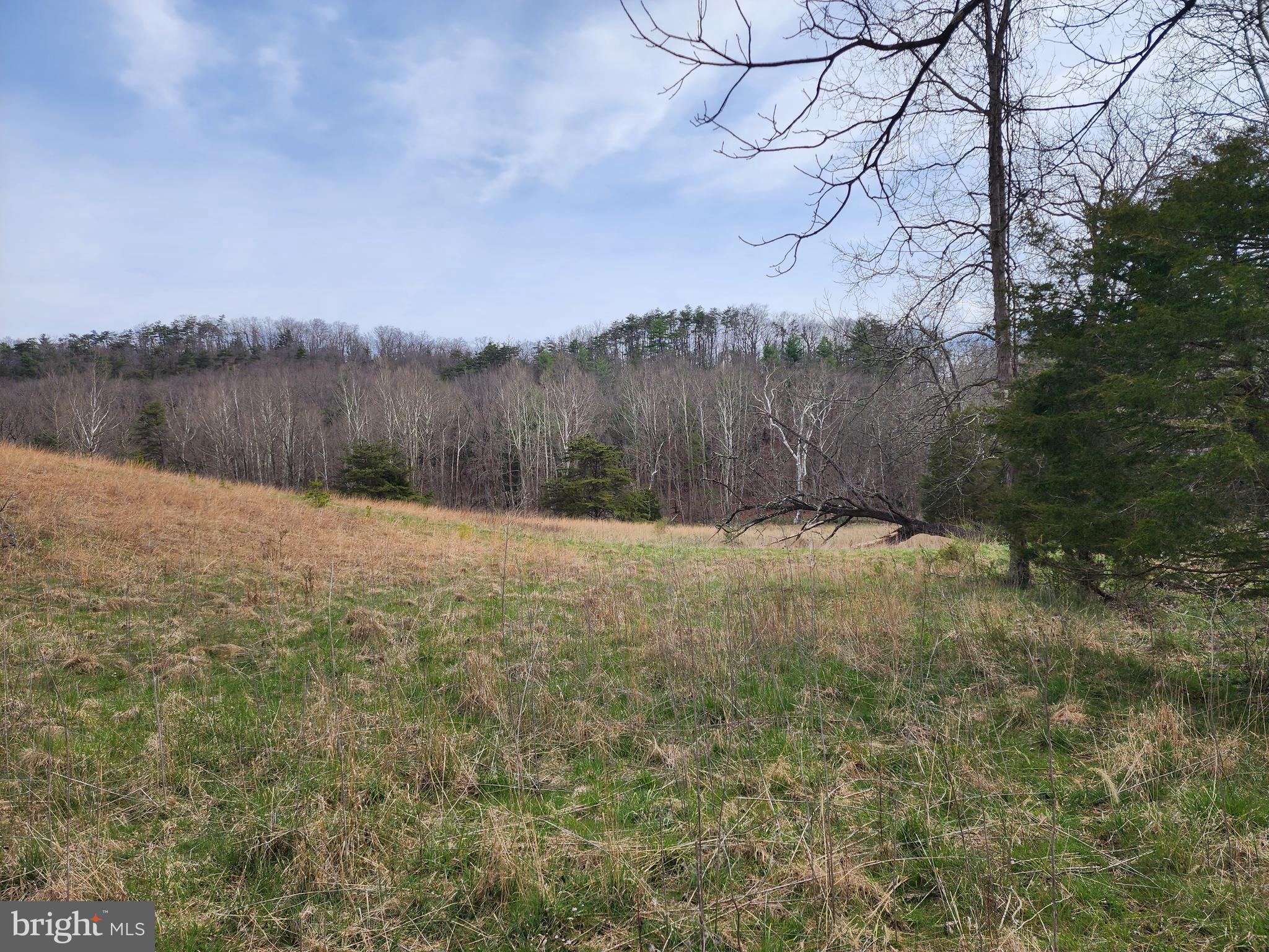 QUIVEY'S GROVE - Land