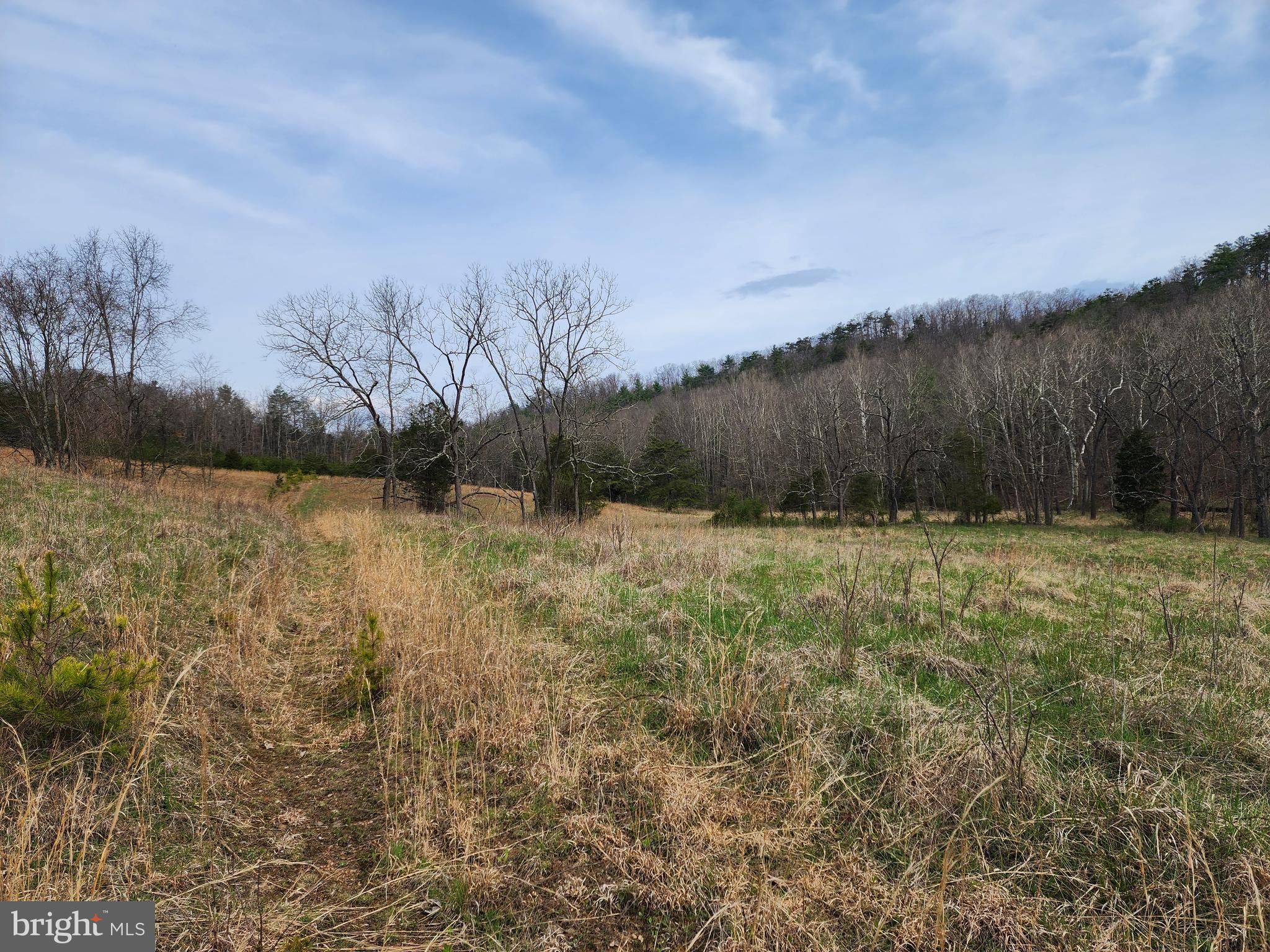 QUIVEY'S GROVE - Land