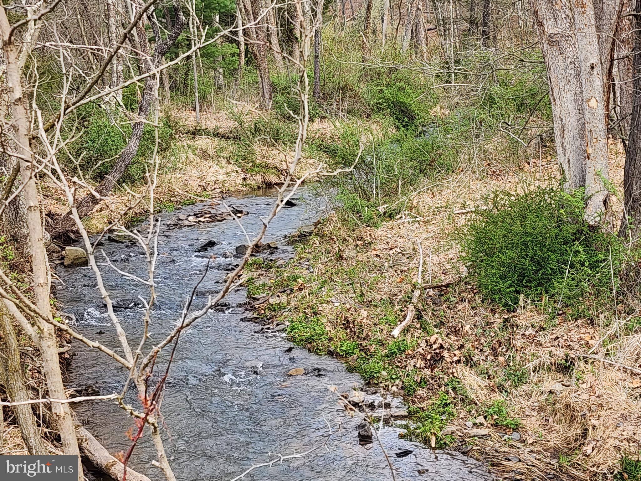 QUIVEY'S GROVE - Land