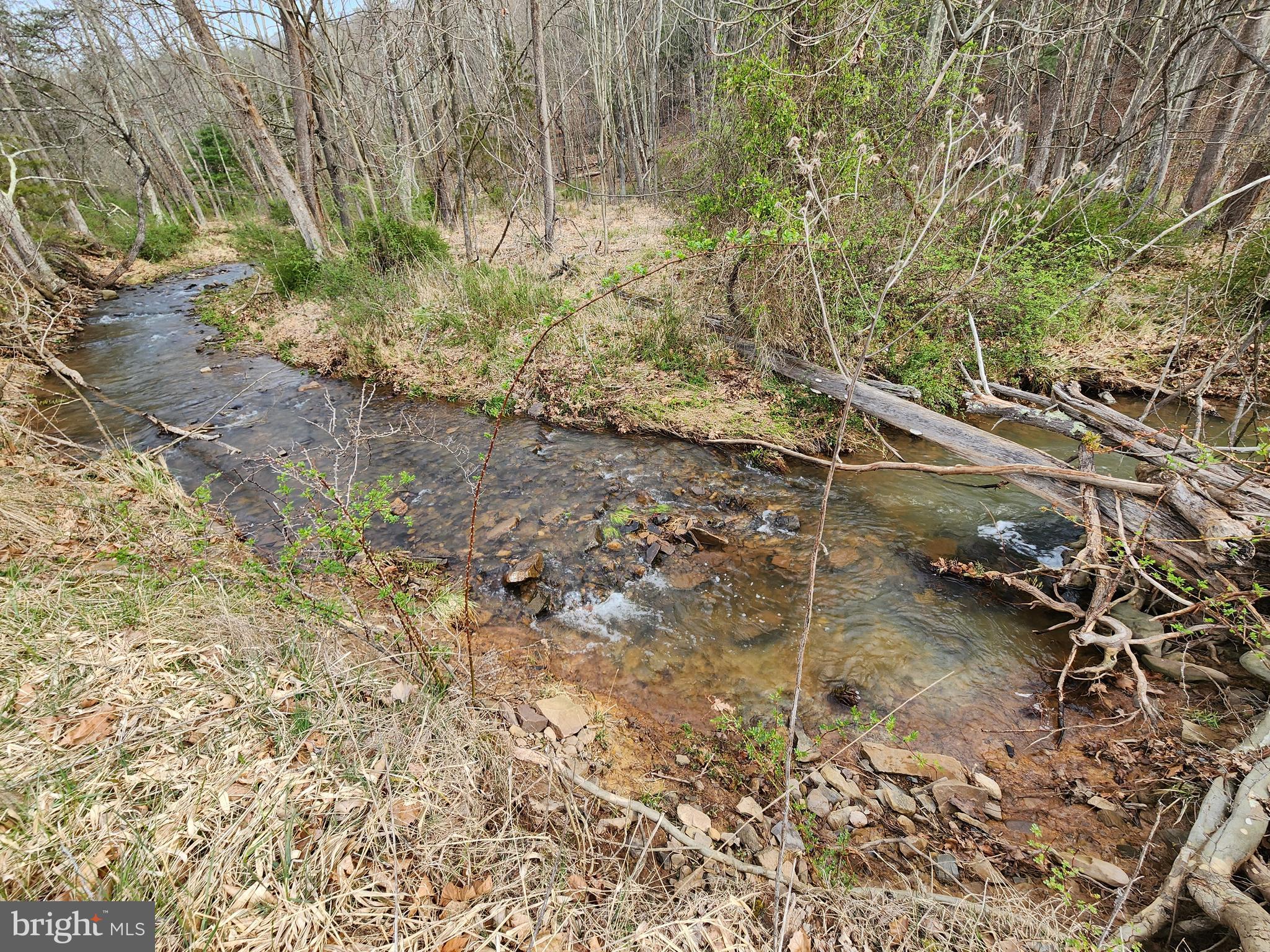 QUIVEY'S GROVE - Land