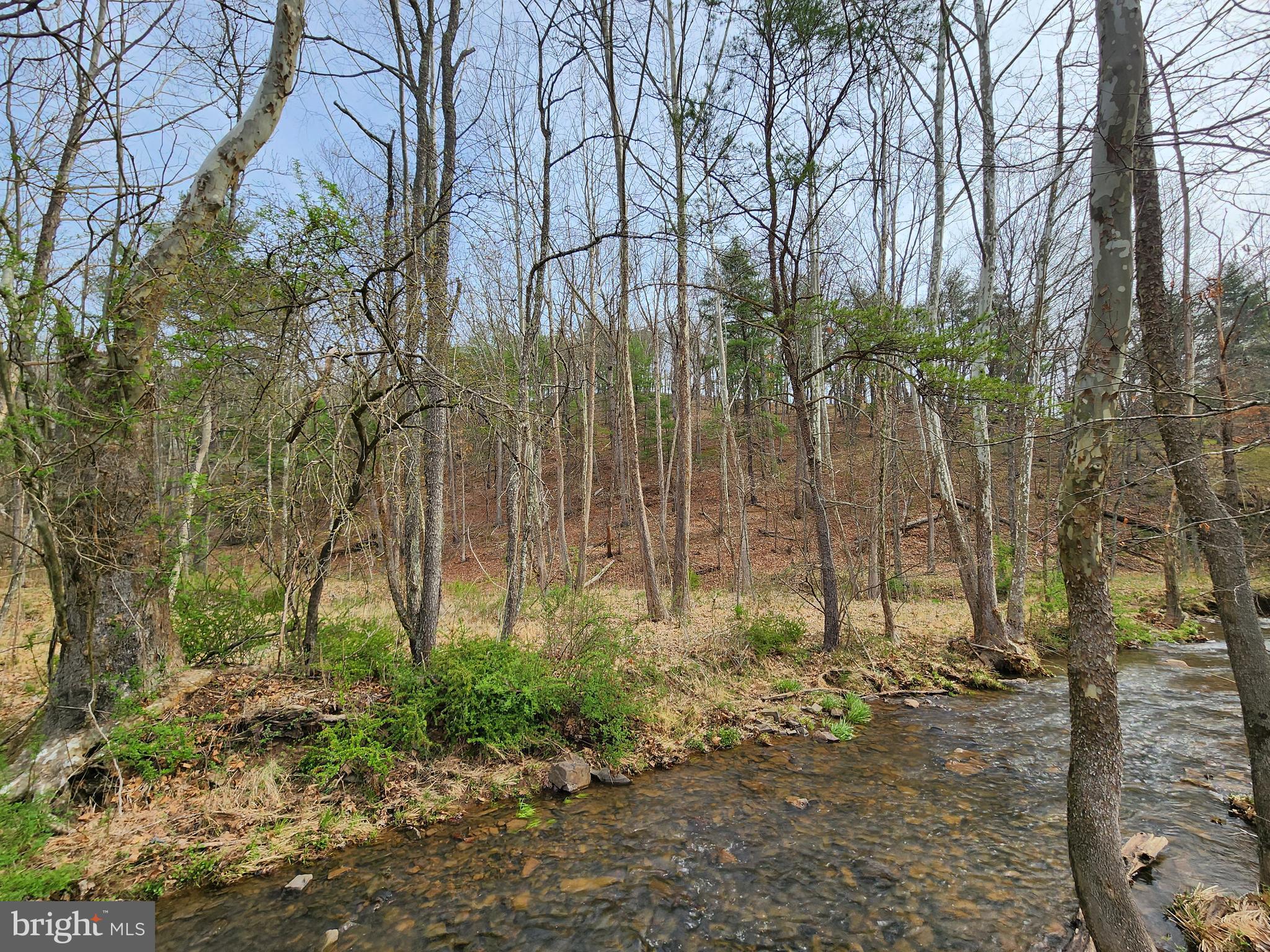 QUIVEY'S GROVE - Land