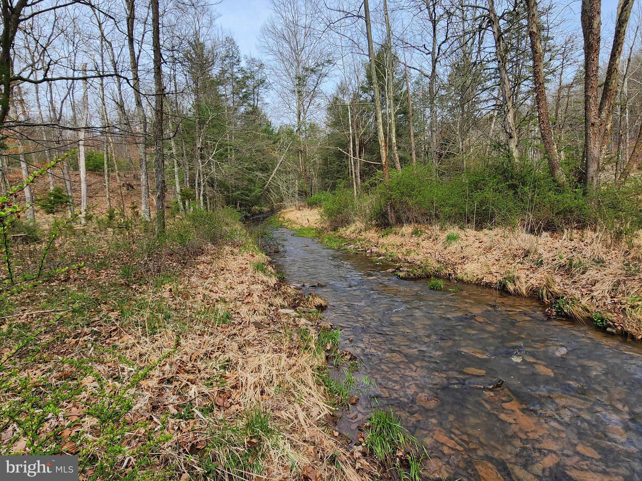 QUIVEY'S GROVE - Land