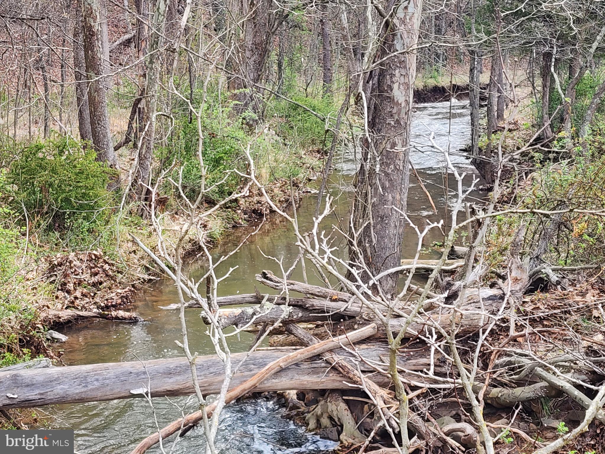 QUIVEY'S GROVE - Land