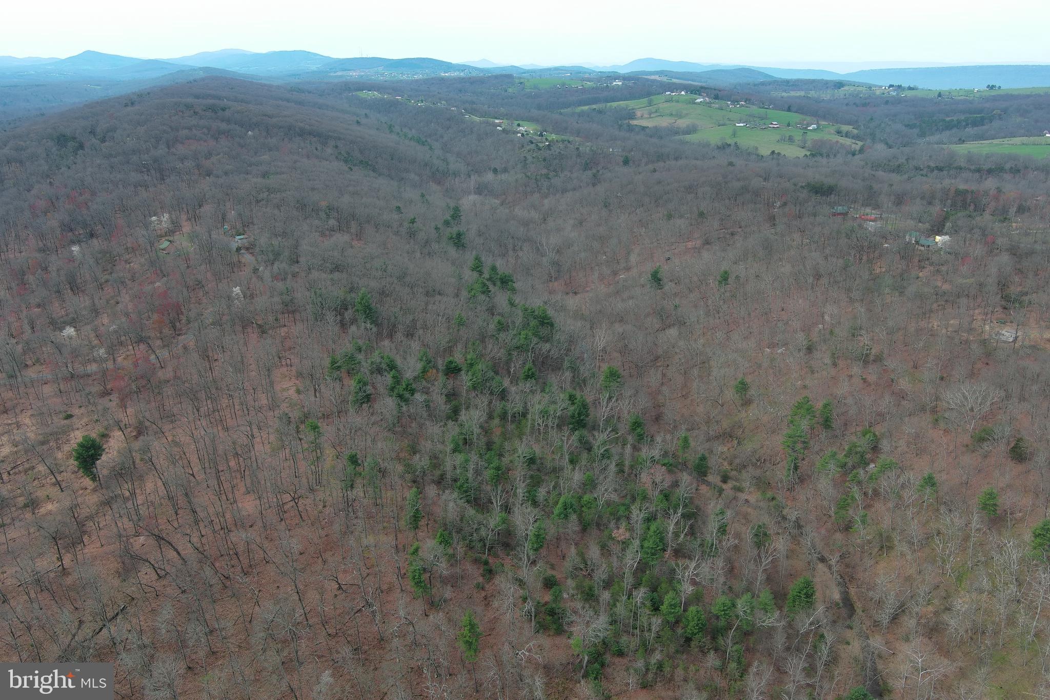 QUIVEY'S GROVE - Land