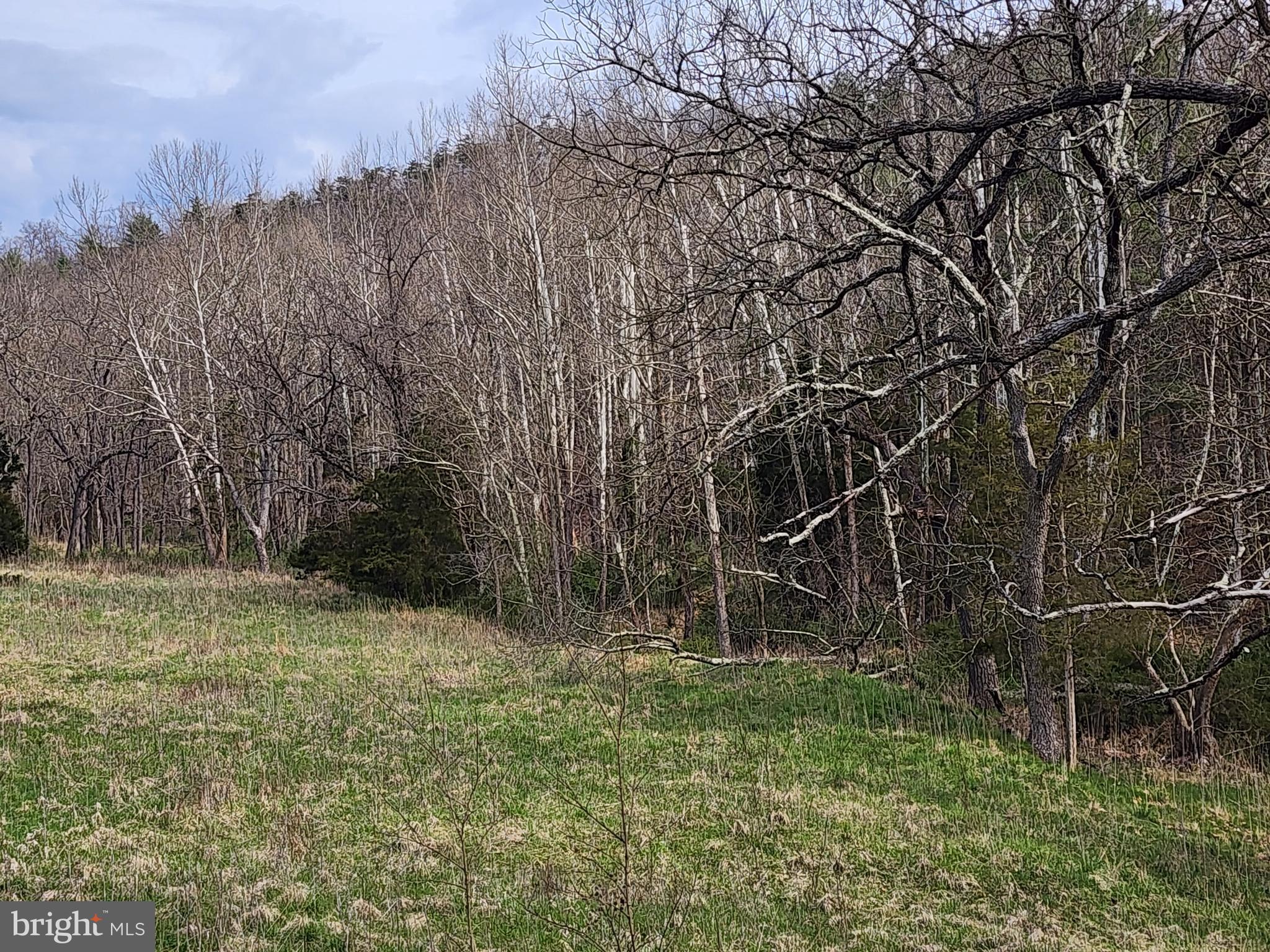 QUIVEY'S GROVE - Land