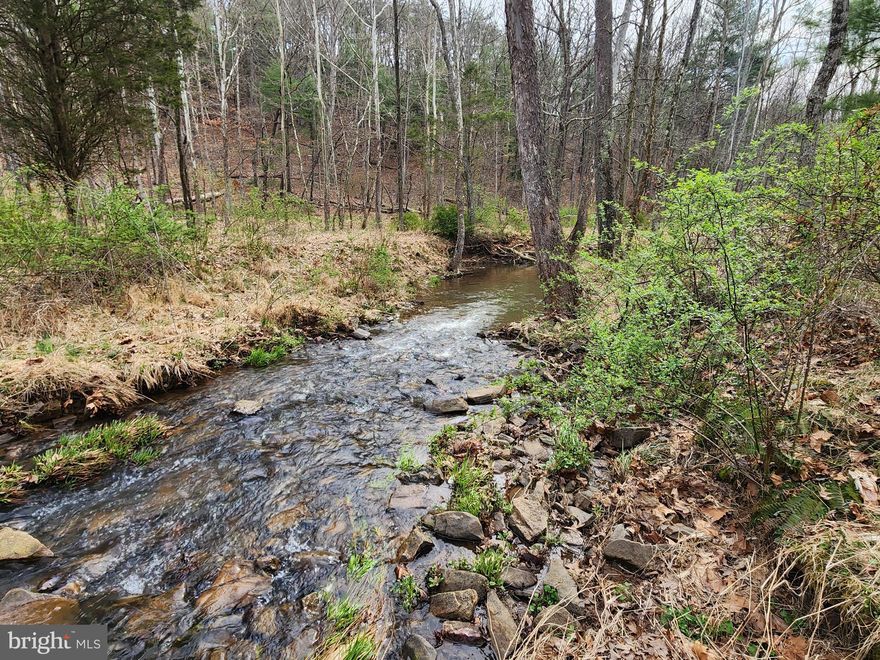 WELCOME TO "CHIMNEY CREEK".  THEY SAY THAT "VARIETY IS THE SPICE OF LIFE".  WELL, THIS 28+ ACRE PARCEL HAS A VARIETY OF FEATURES THAT WILL IMPRESS ANY AND ALL THAT VENTURE TO THE MOUNTAINS OF HAMPSHIRE COUNTY LOOKING FOR A PICTURESQUE SETTING THAT PROVIDES OPEN SPACE, PEACE, AND TRANQUILITY.  LOCATED IN A GATED COMMUNITY WITH TRINTON CREEK FLOWING THROUGH THE PROPERTY  YOU WILL FIND AMPLE OPPORTUNITY TO EXPERIENCE NATURE'S GLORY AT YOUR FINGERTIPS.  HIKE, HUNT, HOMESTEAD, RIDE ATVS, EXPERIENCE THE FRESH AIR.  IT IS ASSUMED THAT  THE 1800S STONE CHIMNEY IS WHAT IS LEFT OF THE ORIGINAL HOMESTEAD THAT WAS HERE PRIOR TO THE SUBDIVISION BEING CREATED. WITH A GOOD METAL DETECTOR, IT IS HARD TO TELL WHAT TREASURES  COULD BE FOUND. IF YOU HAVE BEEN LOOKING FOR USABLE ACREAGE WITH A YEAR ROUND STREAM, WOODS AND OPEN FIELDS, YOU KNOW THAT ALL OF THESE WANTS ARE DIFFICULT TO FIND WRAPPED UP IN ONE PRETTY PACKAGE.  DON'T MISS OUT ON THIS ONE. WHO KNOWS WHEN ANOTHER ONE WITH THESE FEATURES WILL COME ALONG AGAIN!