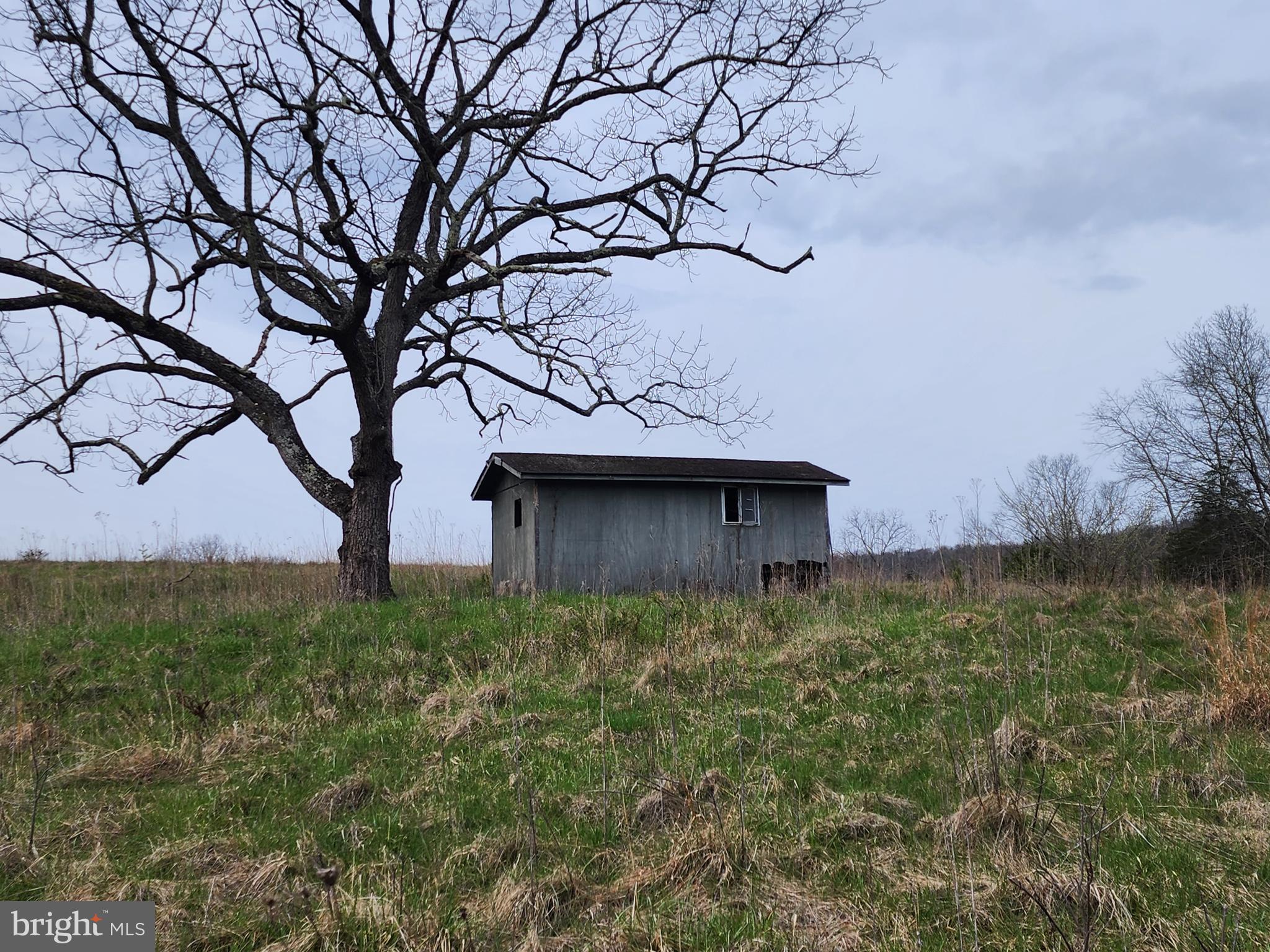 QUIVEY'S GROVE - Land