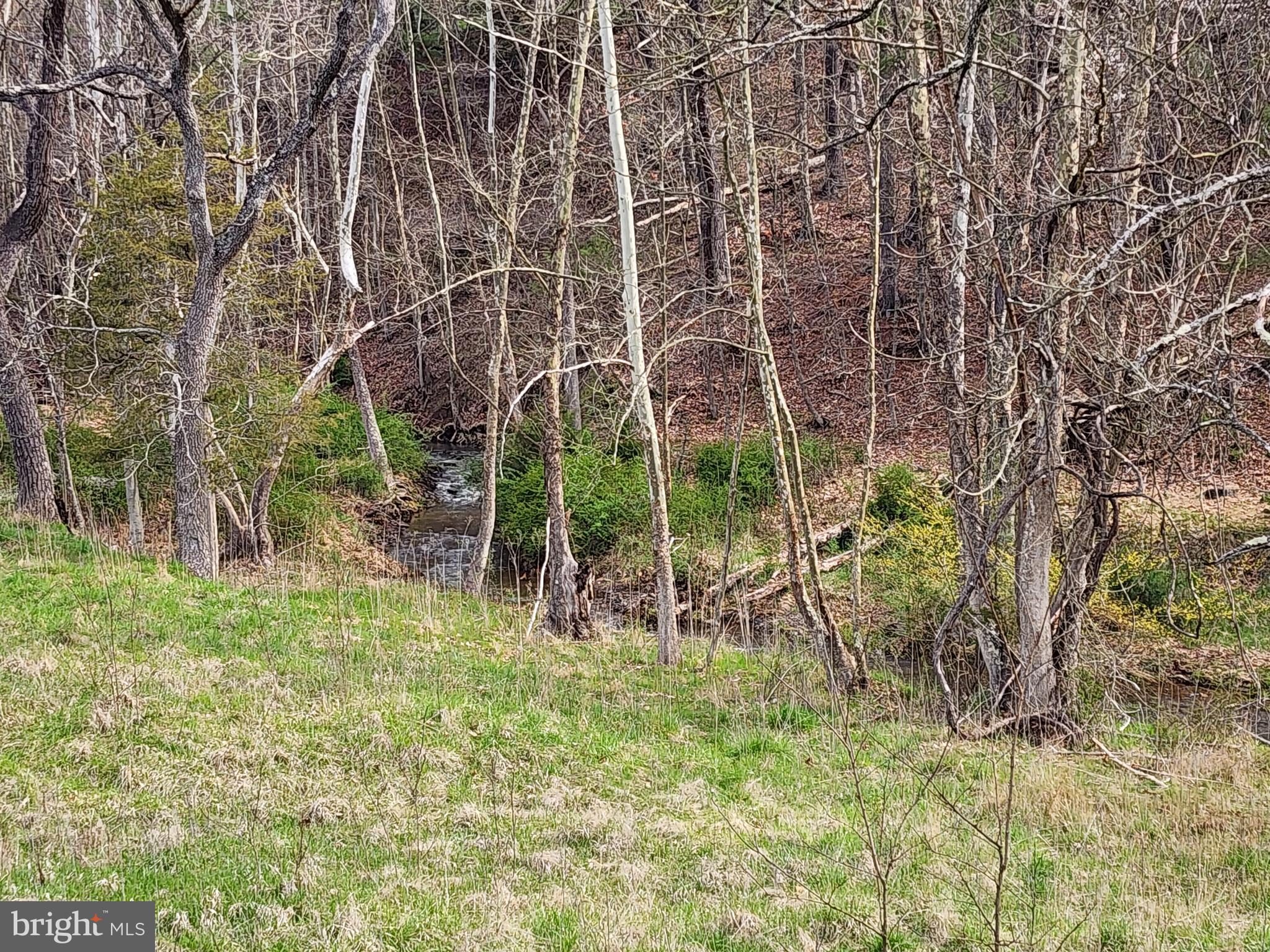 QUIVEY'S GROVE - Land