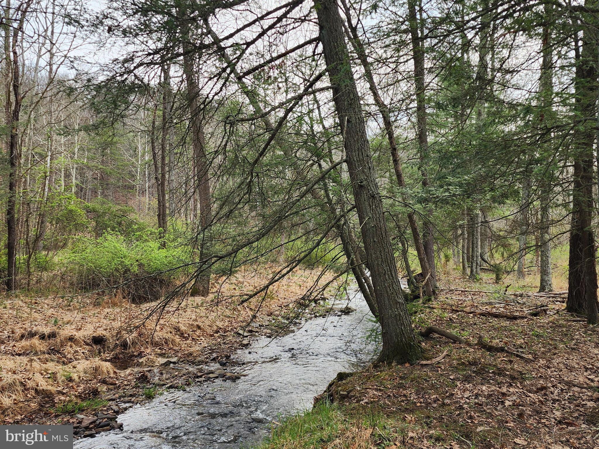 QUIVEY'S GROVE - Land