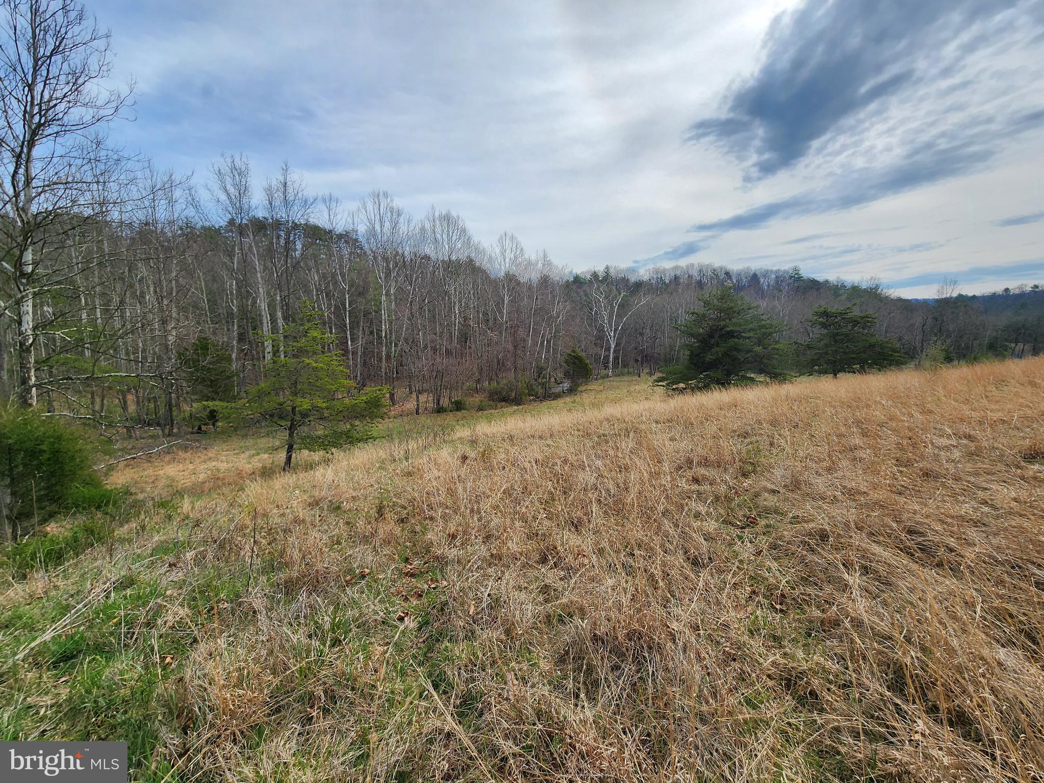 QUIVEY'S GROVE - Land