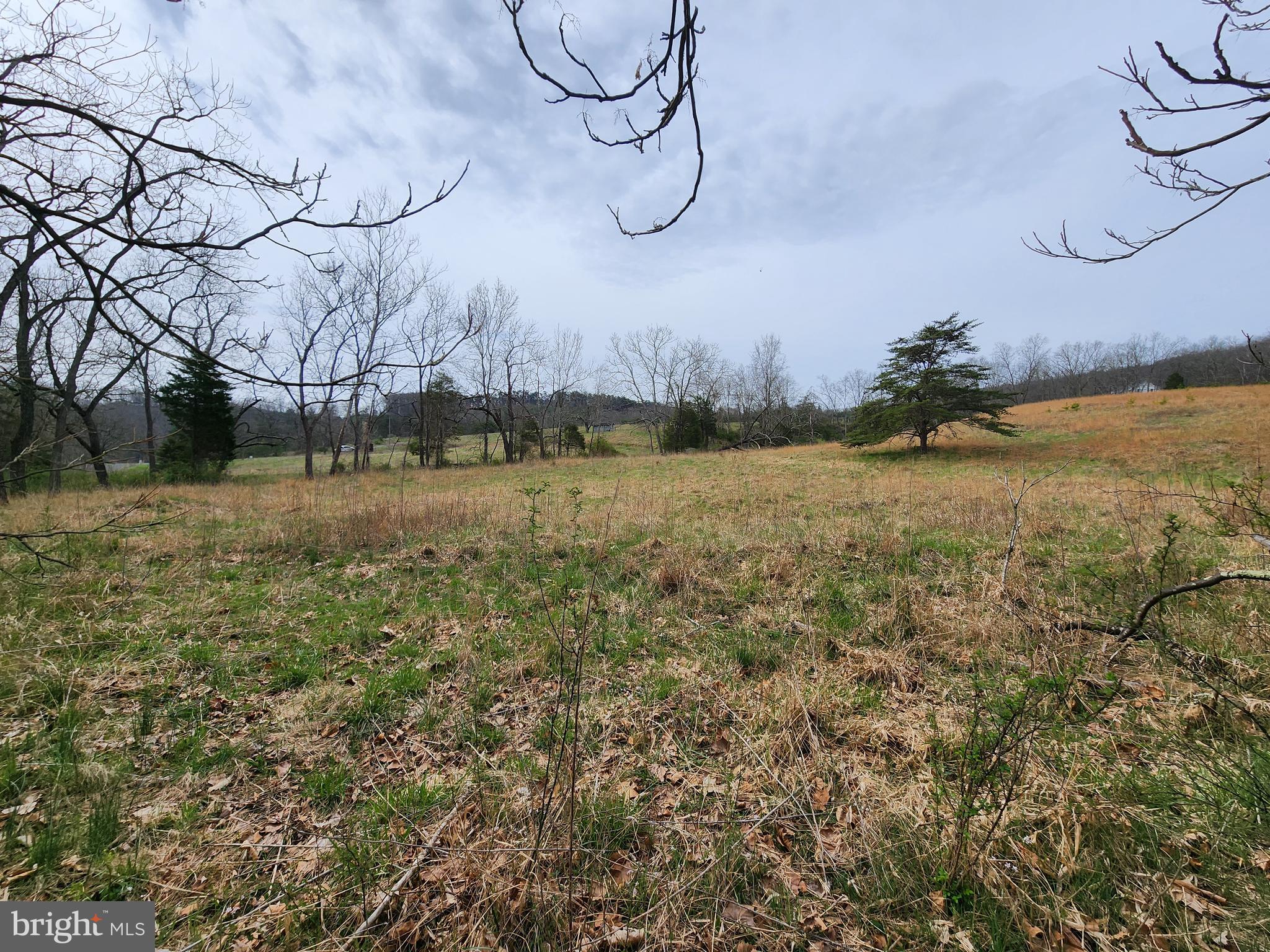 QUIVEY'S GROVE - Land